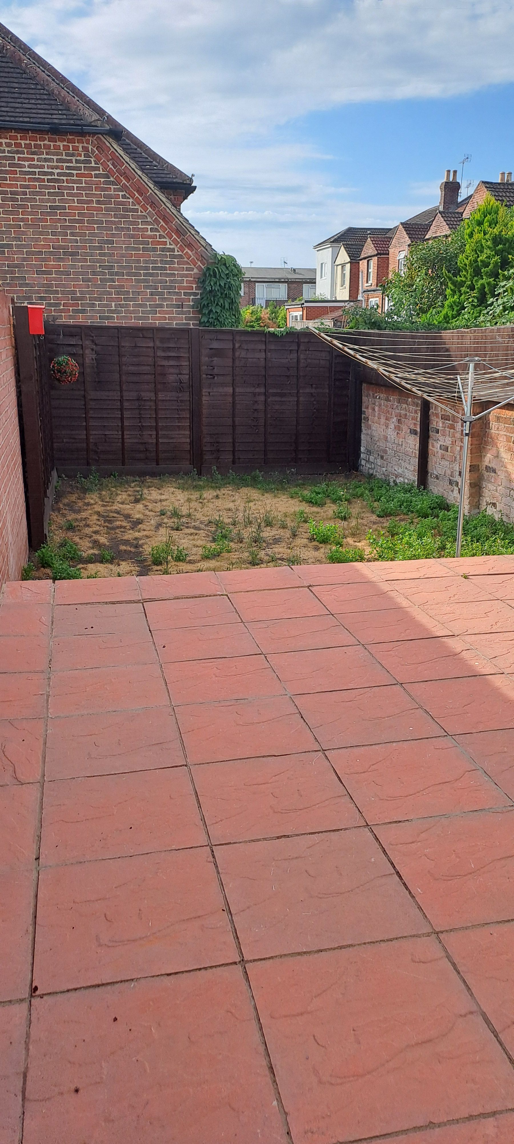 image-20