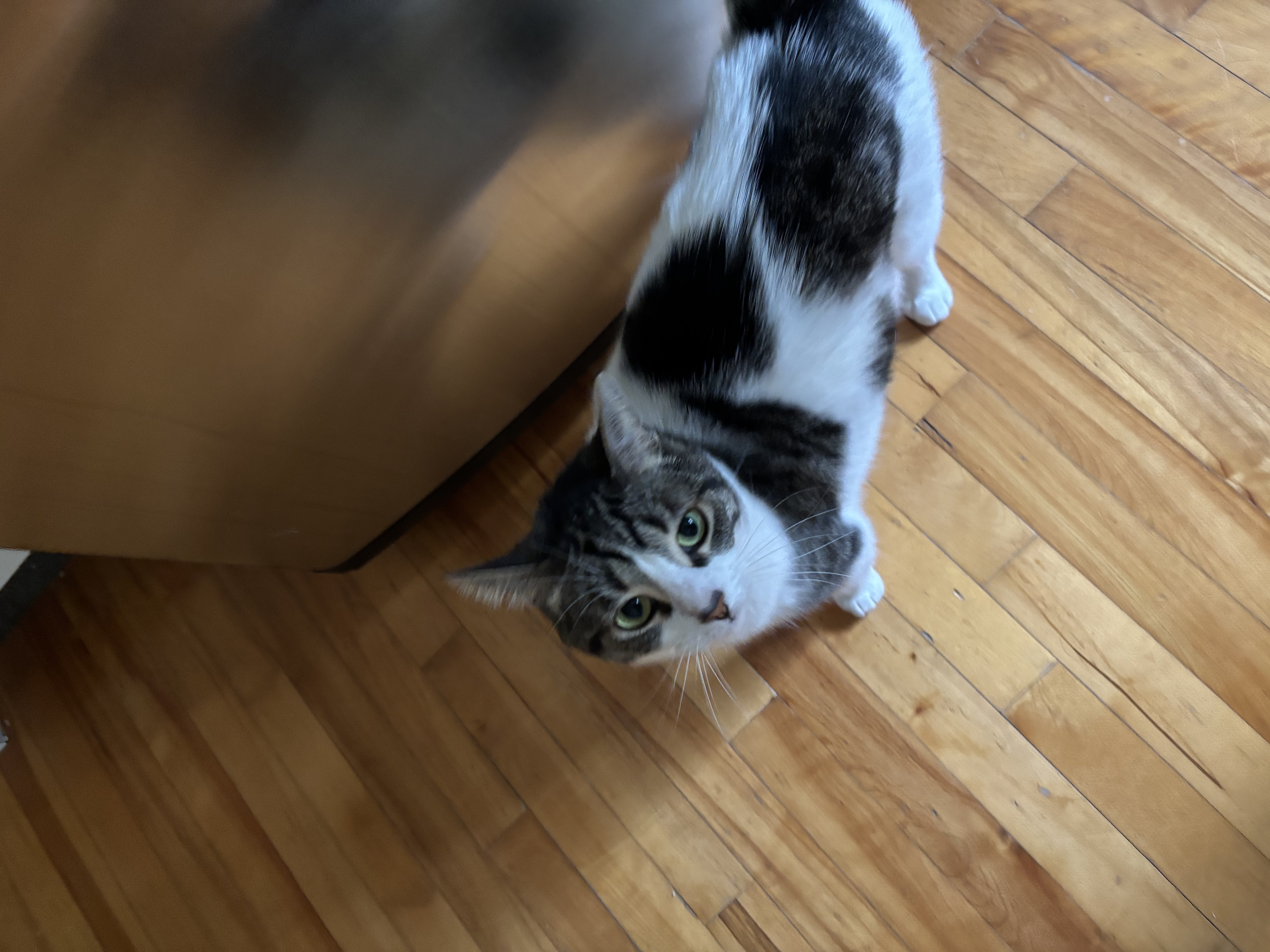 image-8