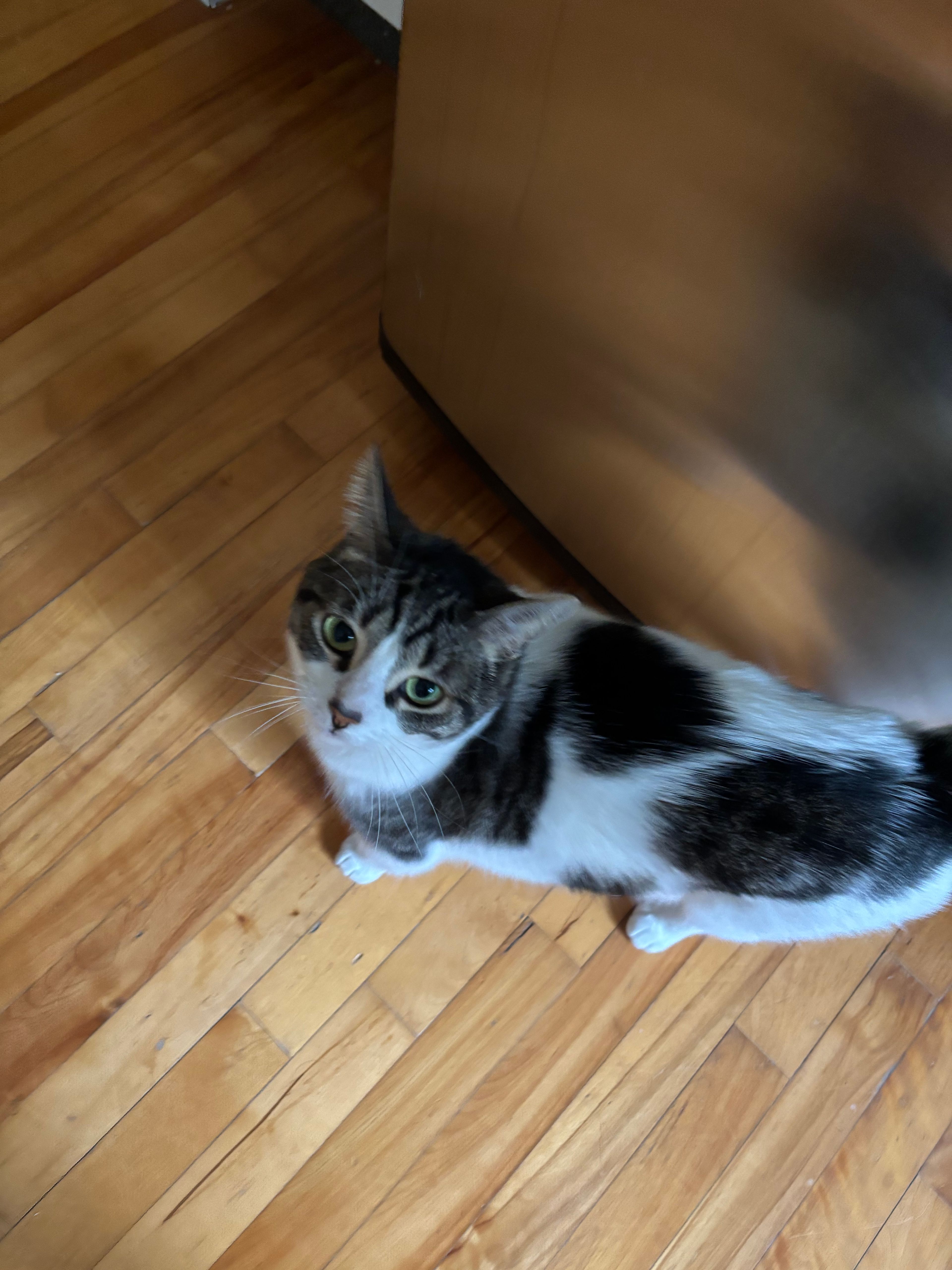 image-8