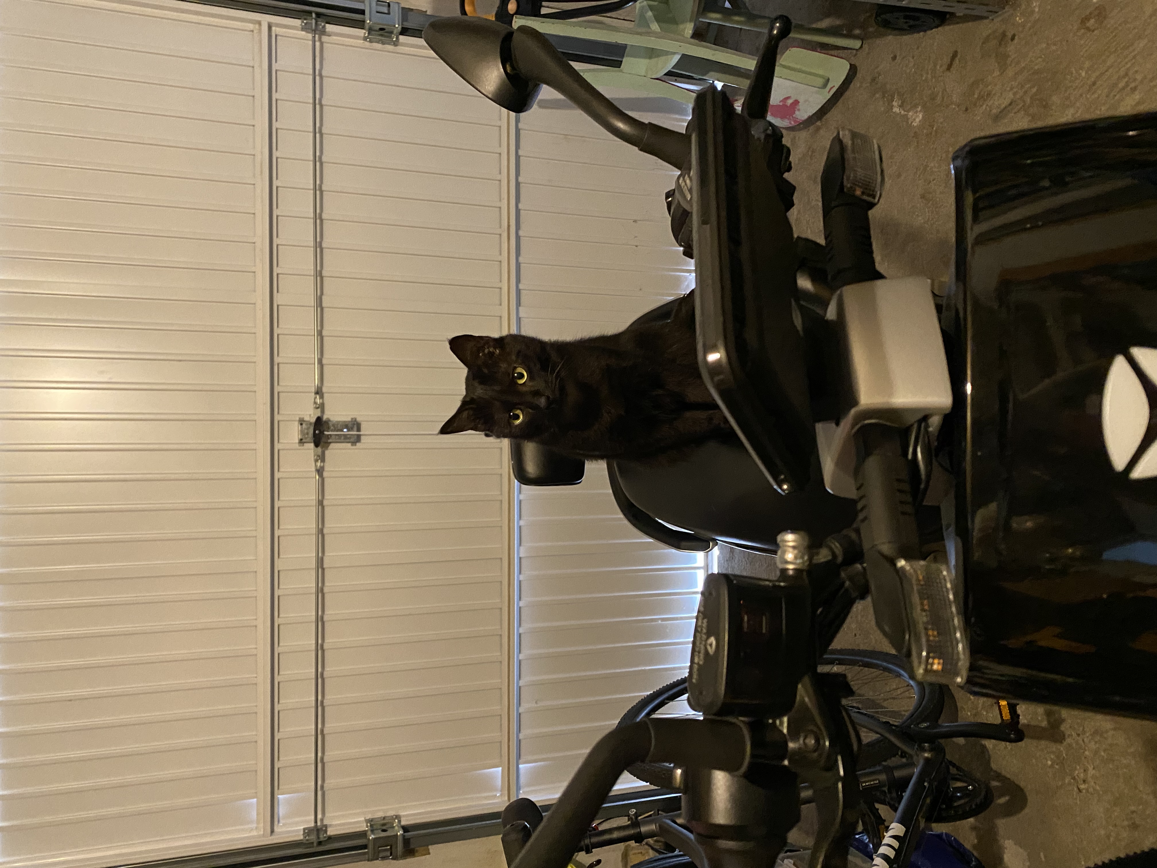 image-8