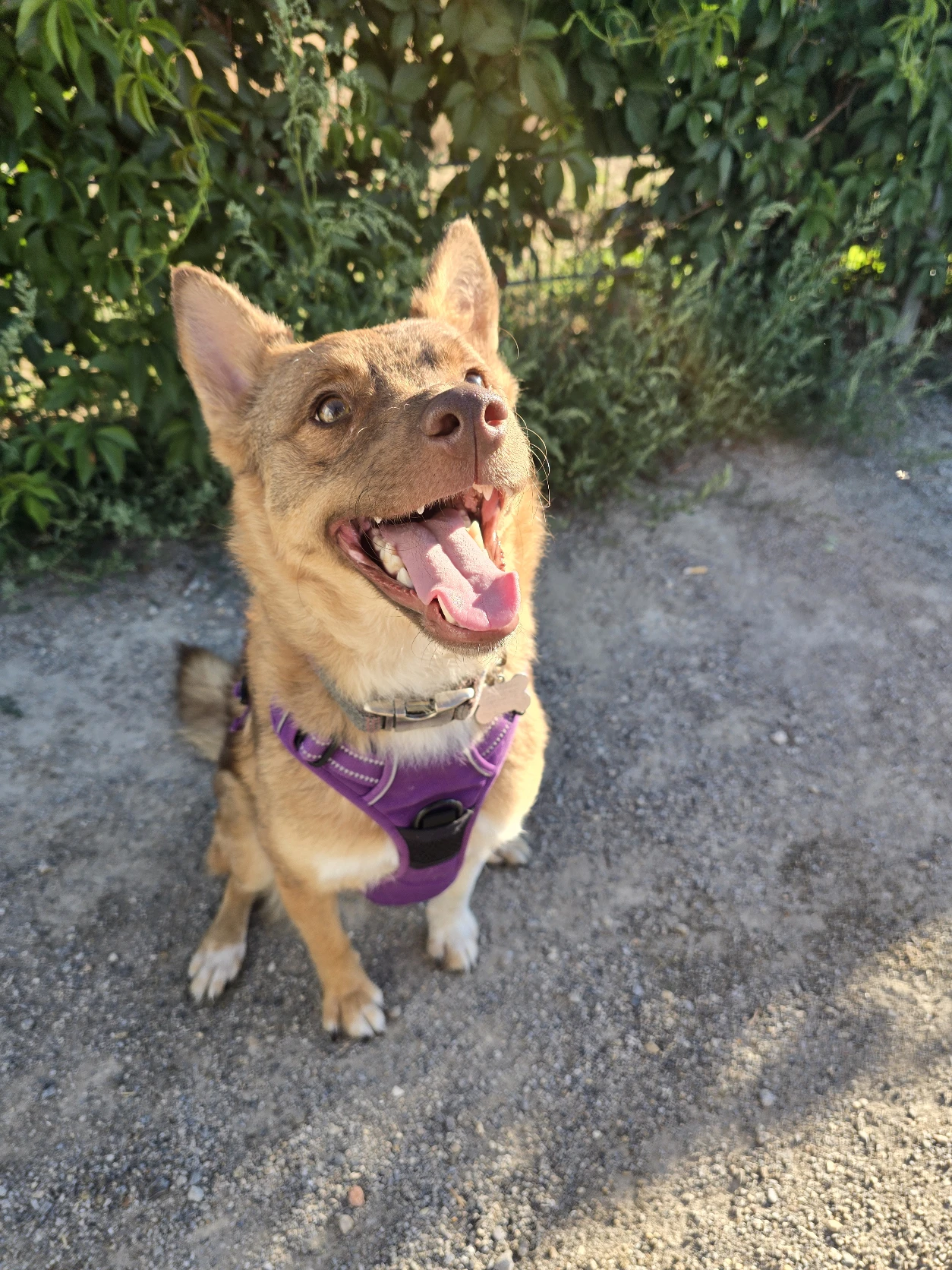 image-3
