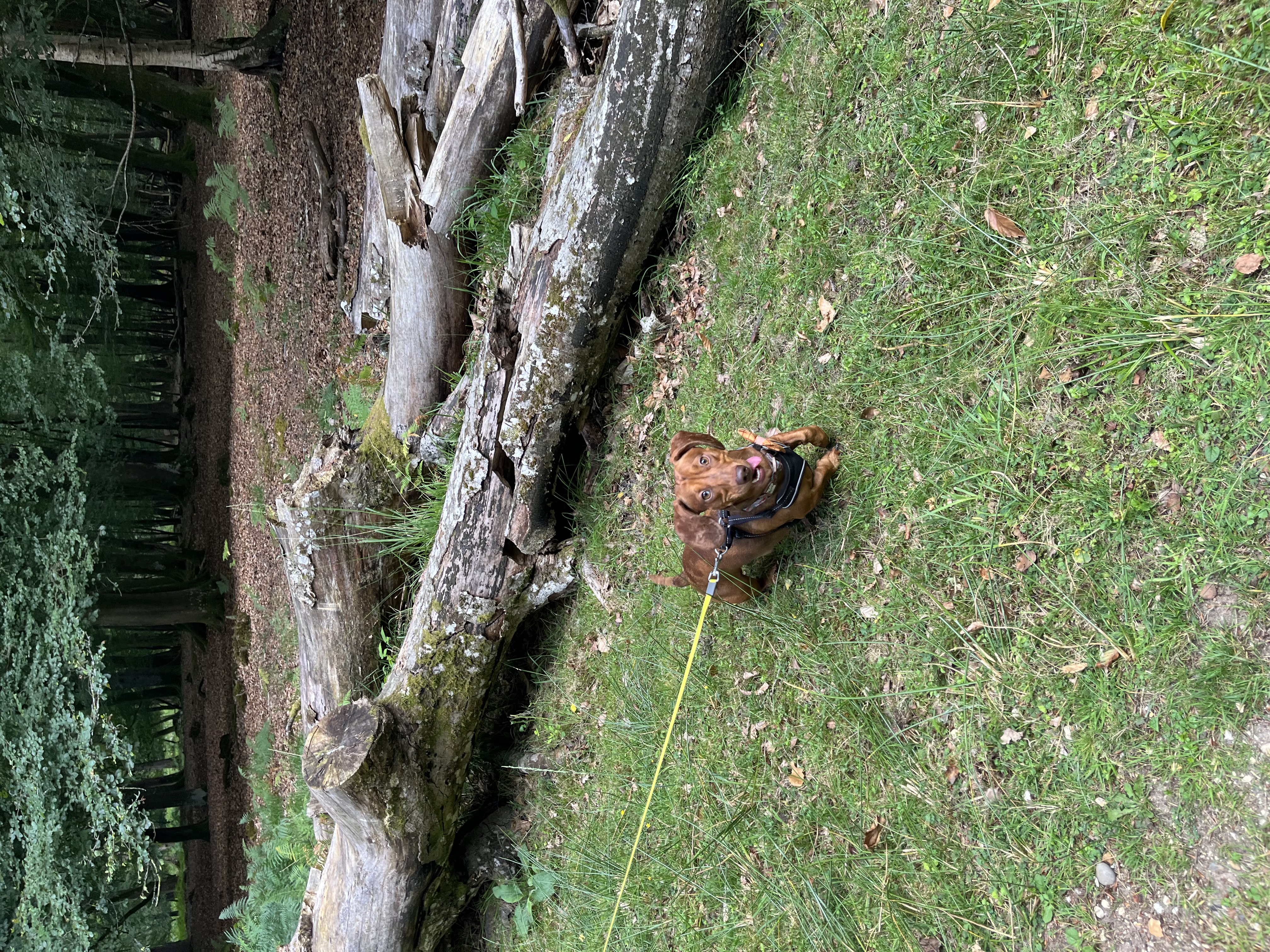 image-14