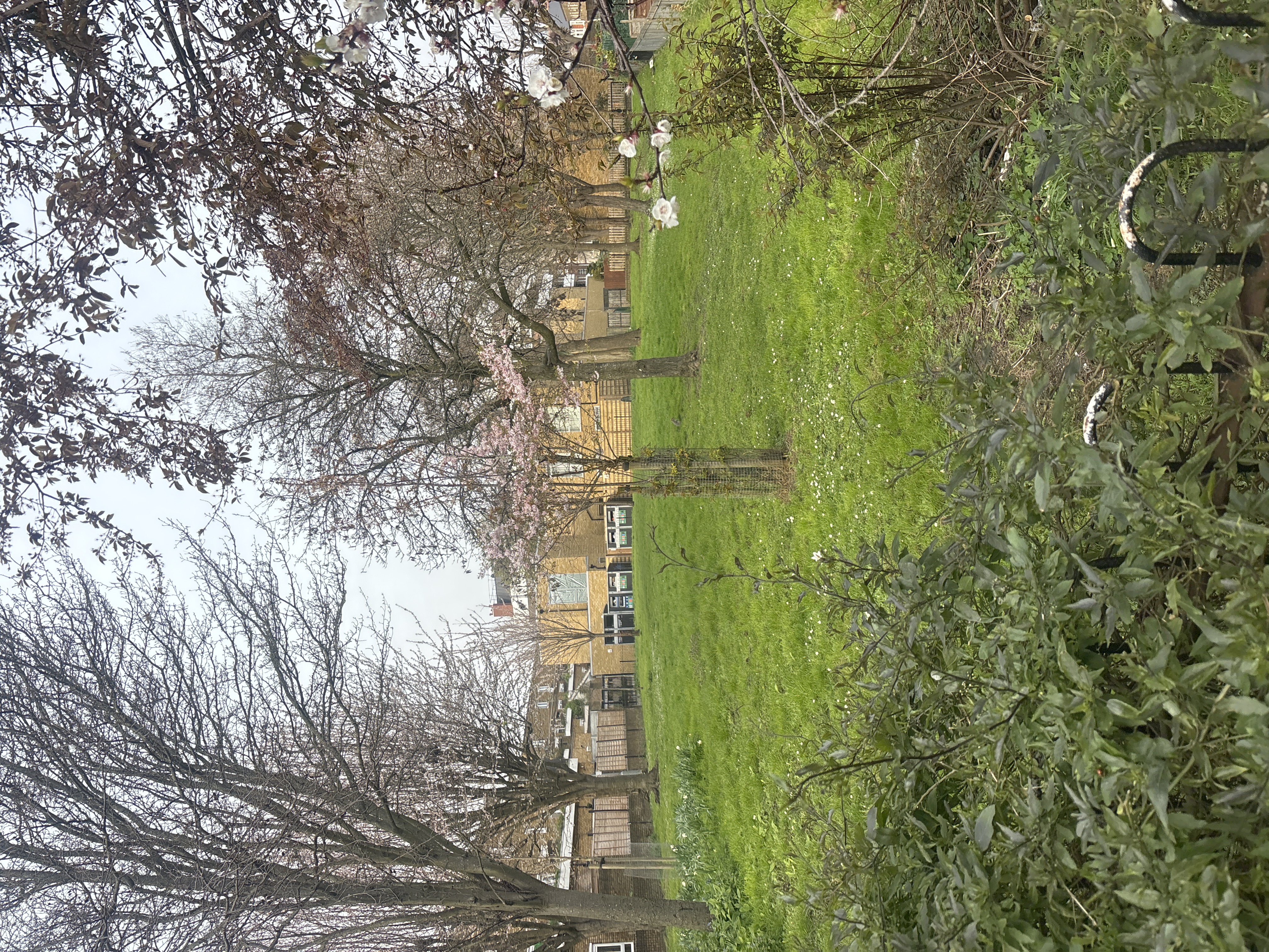 image-13