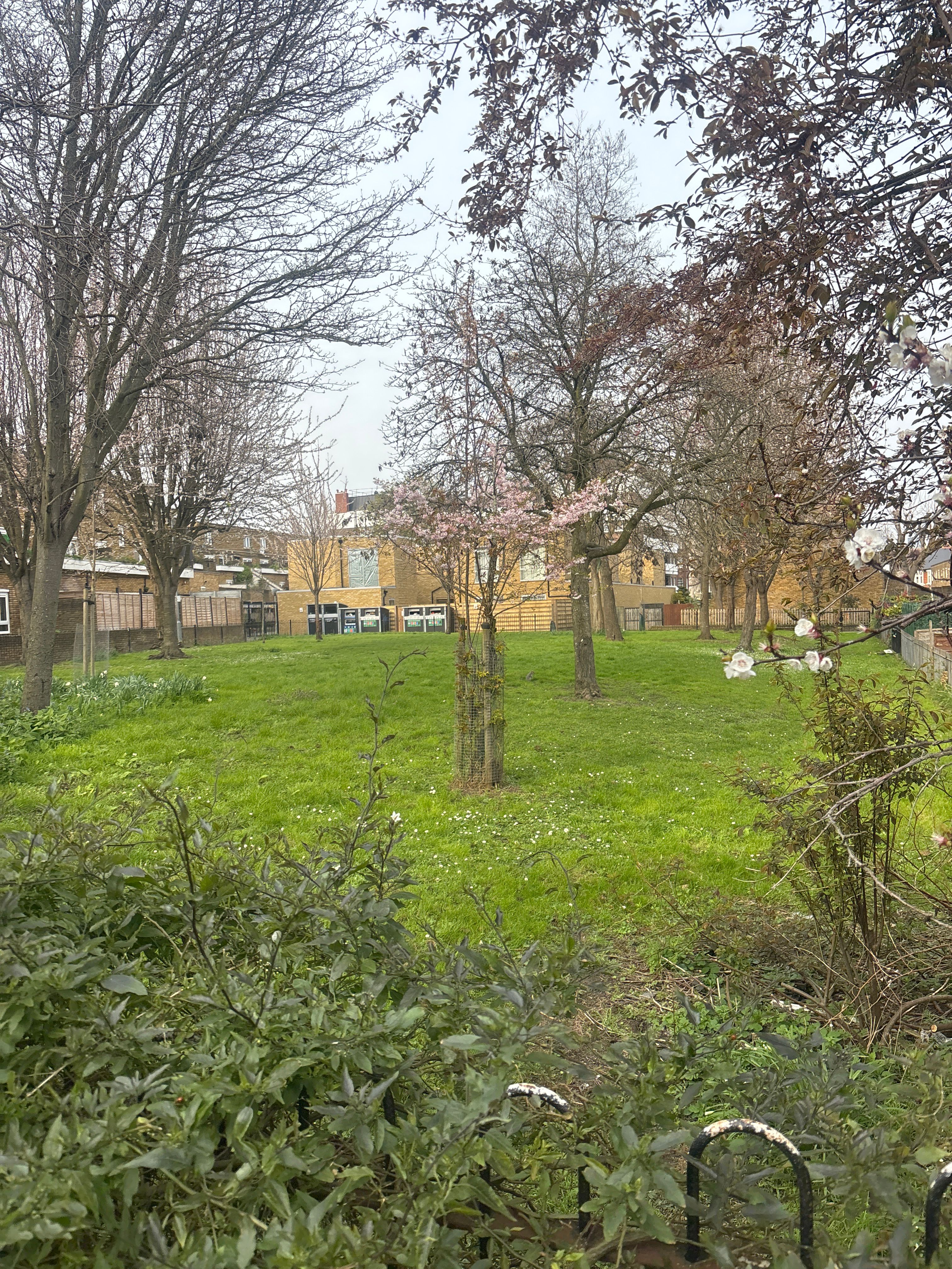 image-13