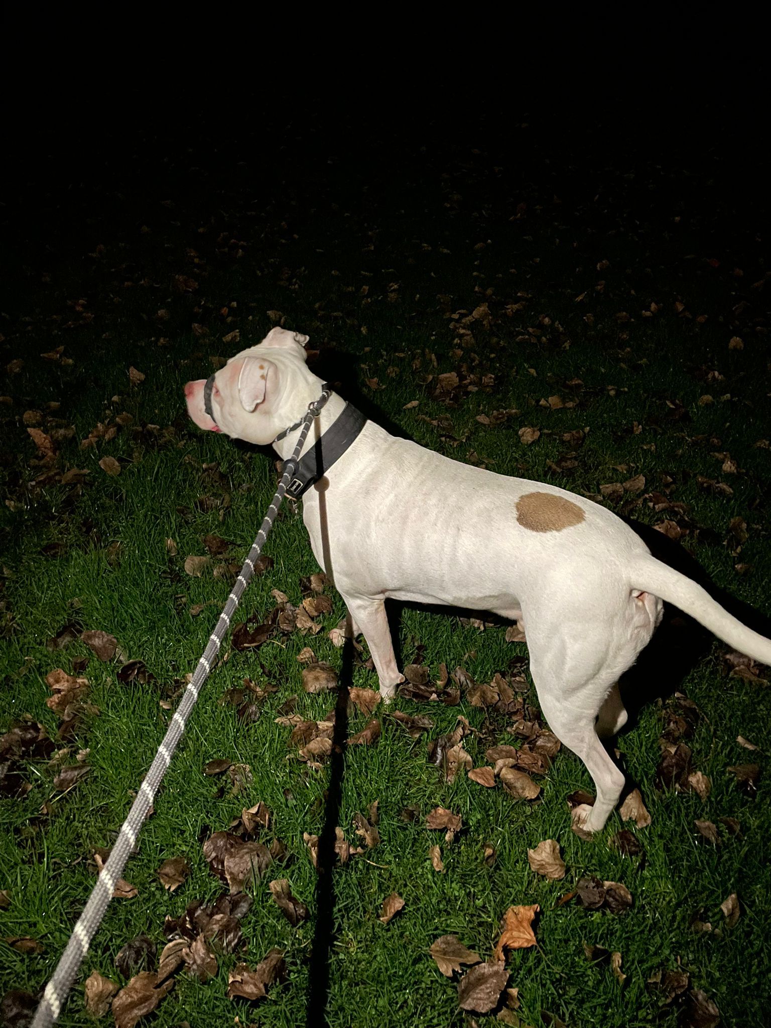 image-7