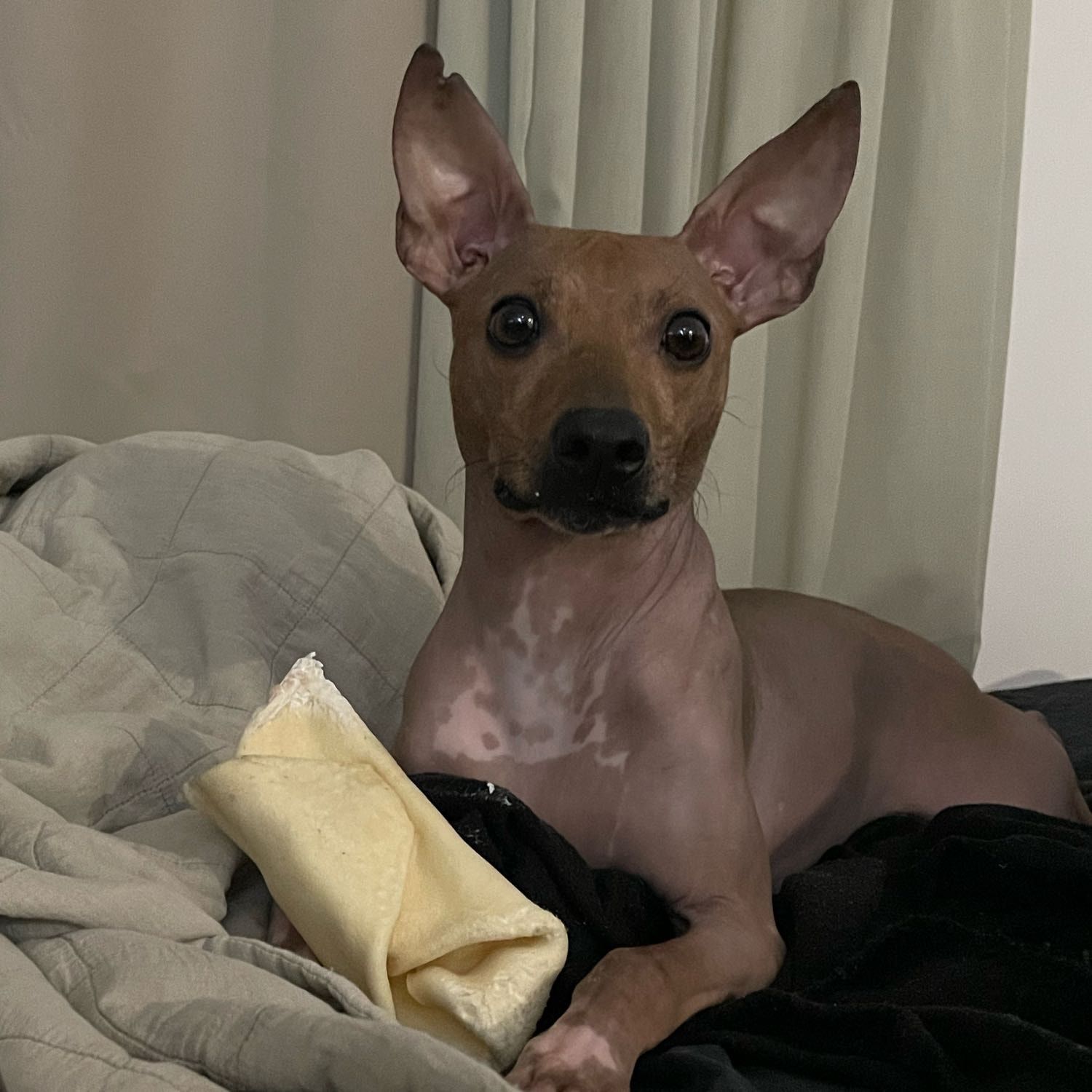 Neo