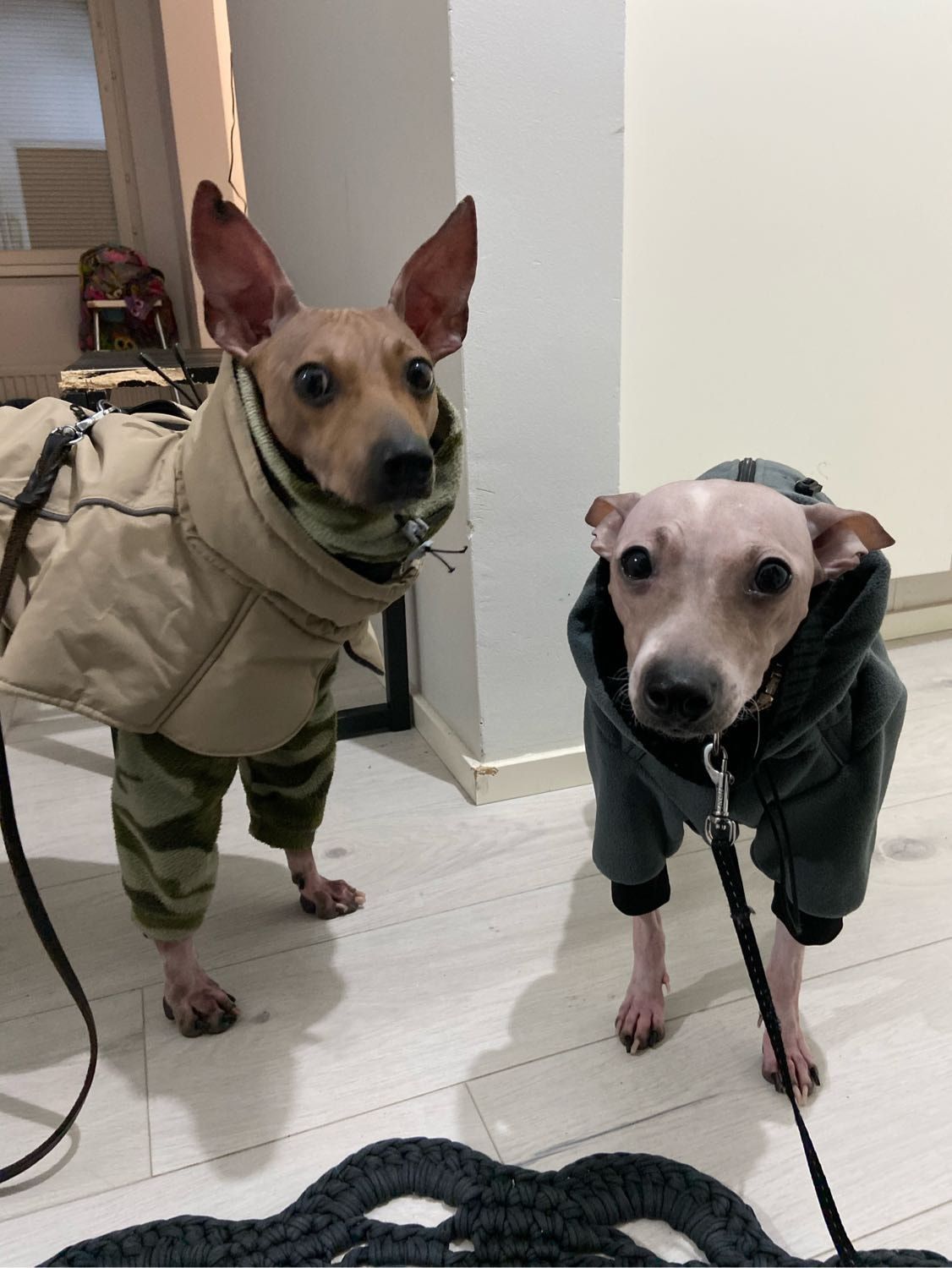 image-6