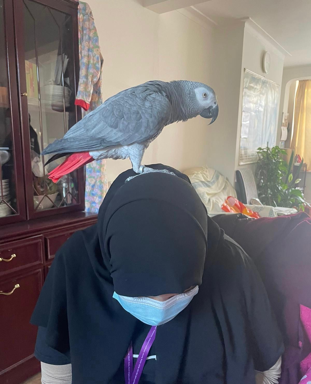 image-17