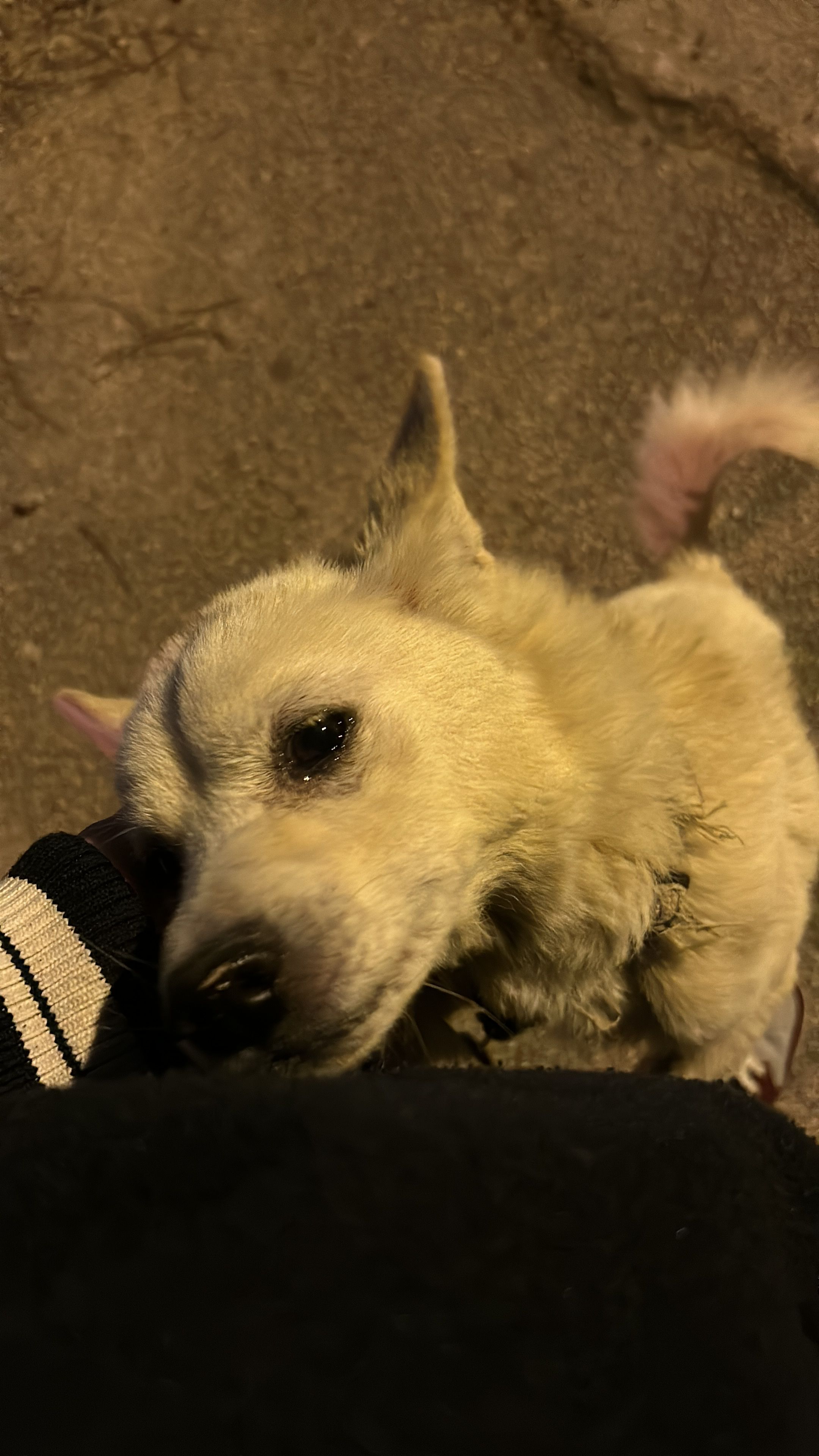 image-7