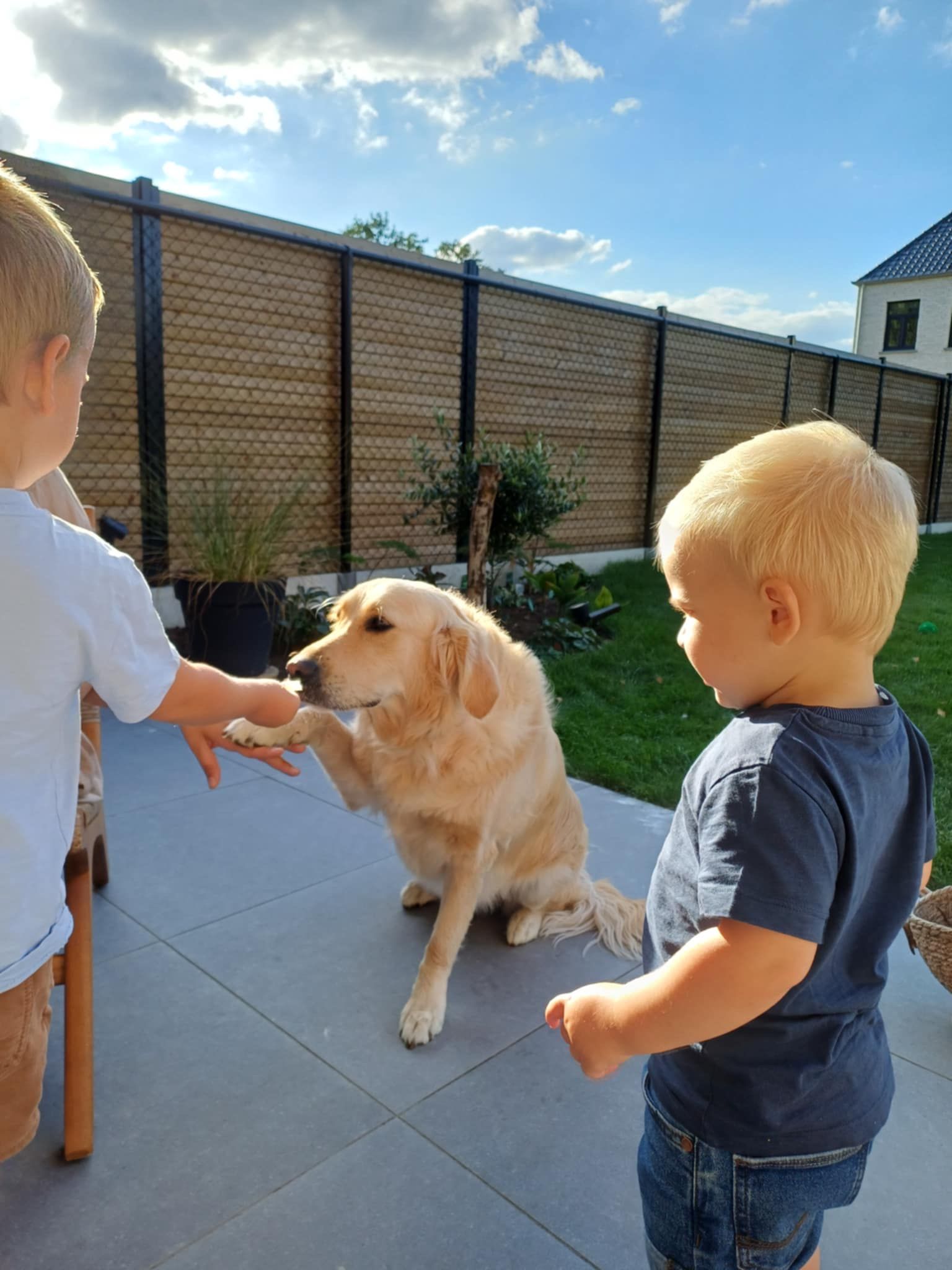 image-18