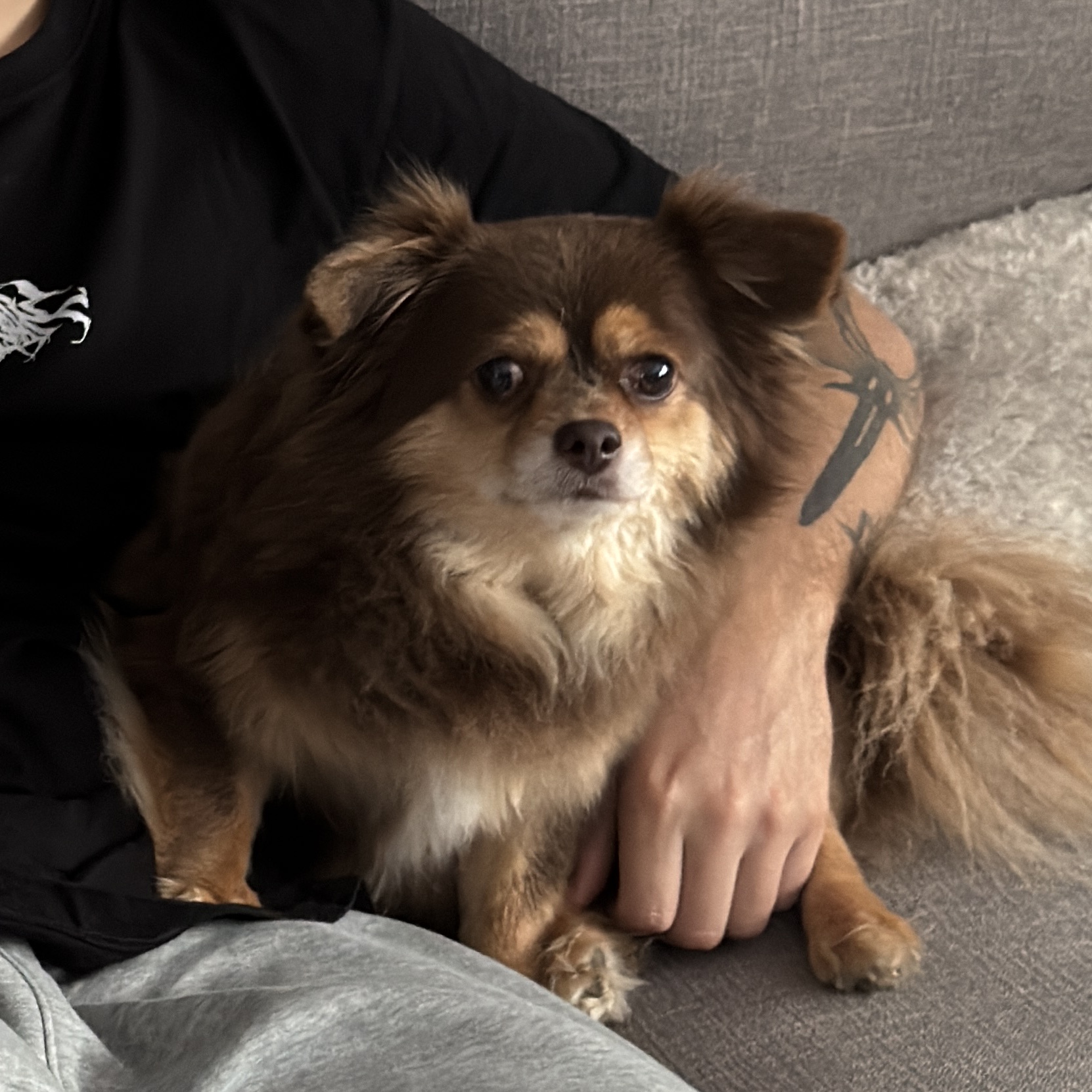 Jax