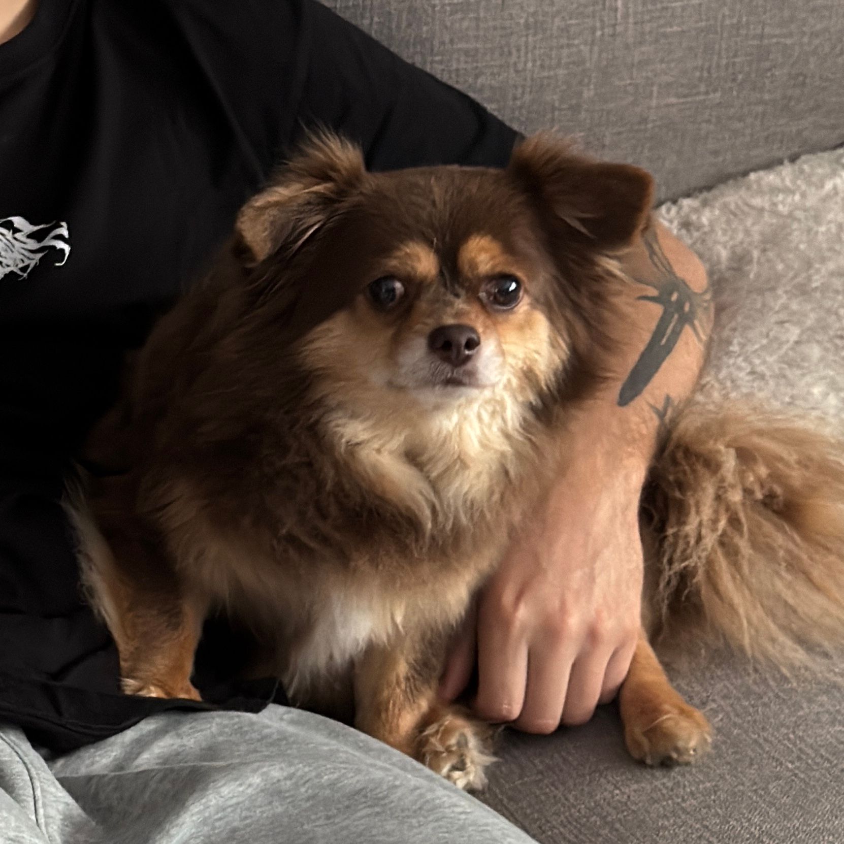Jax