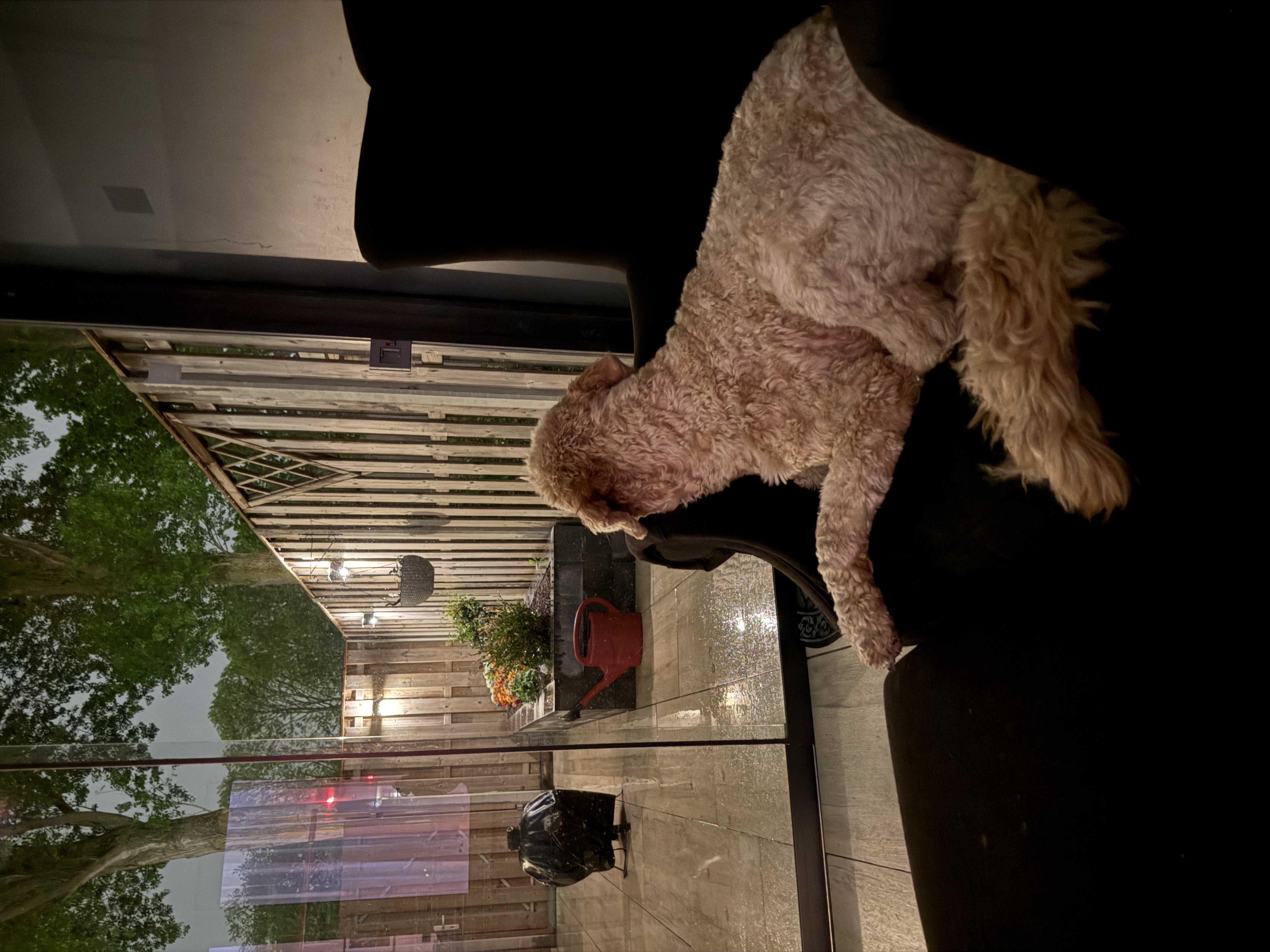 image-11