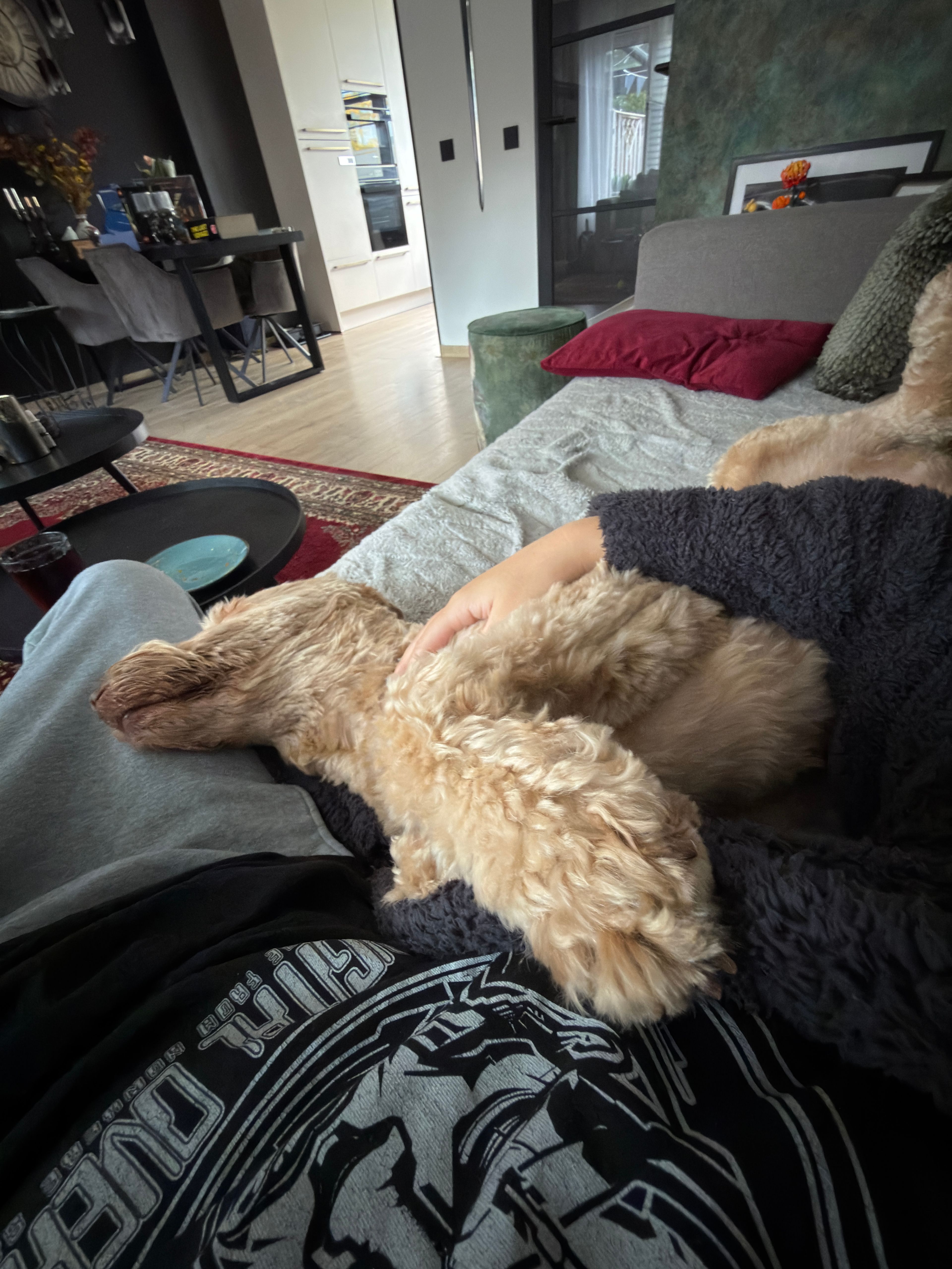 image-5