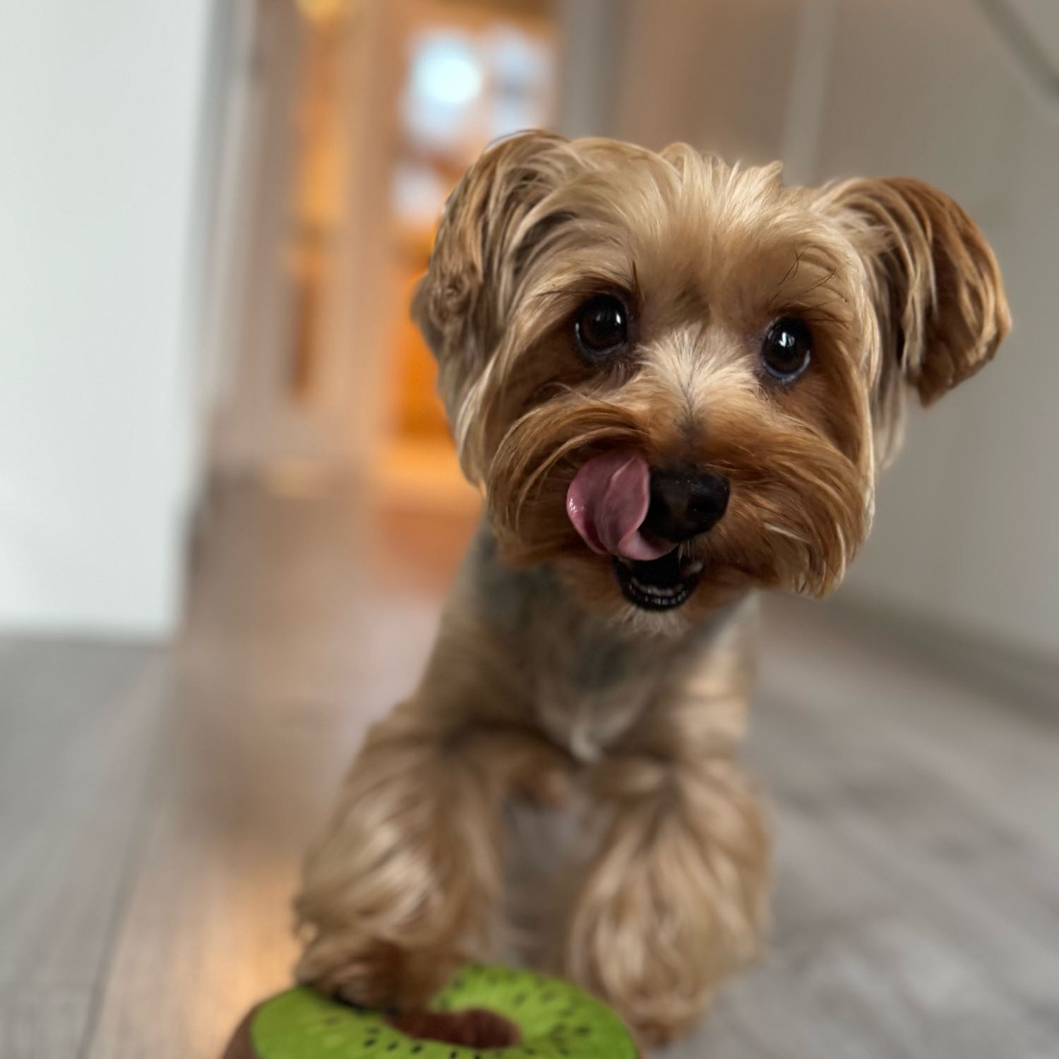 Millie 