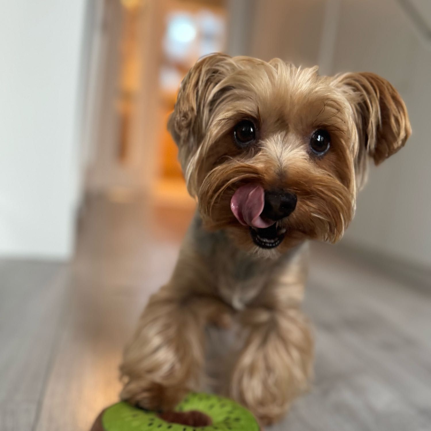 Millie