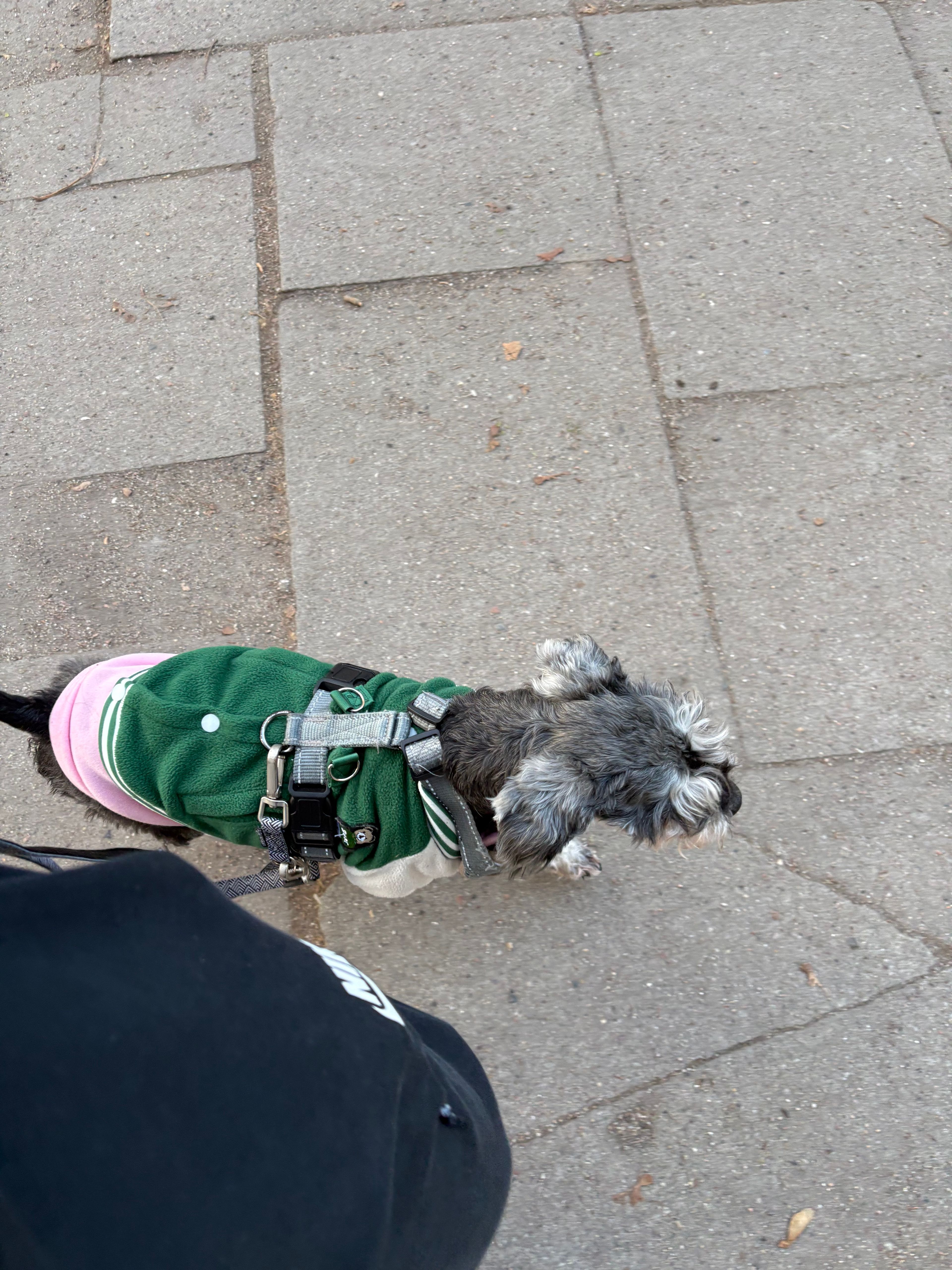 image-13