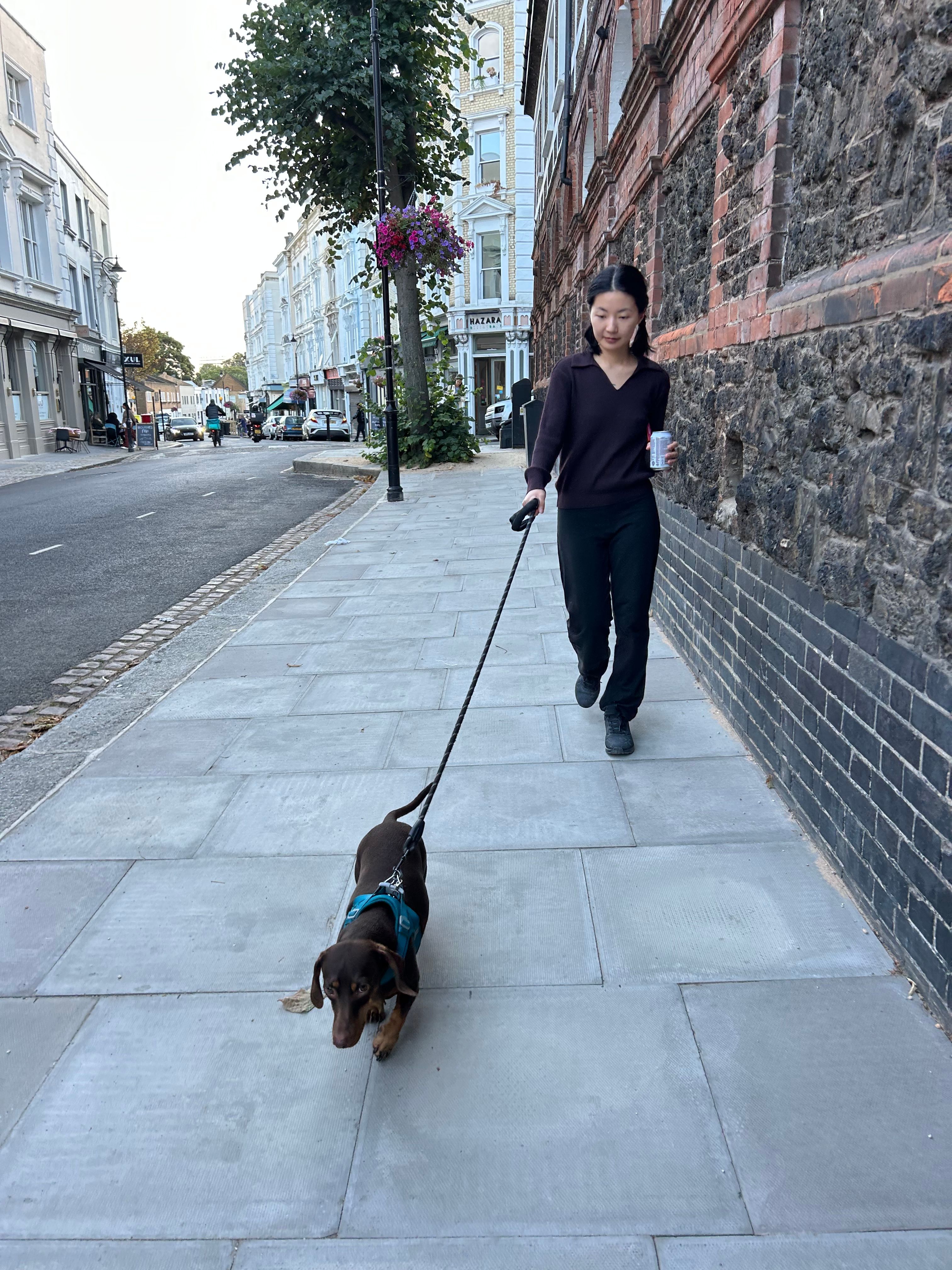 image-11