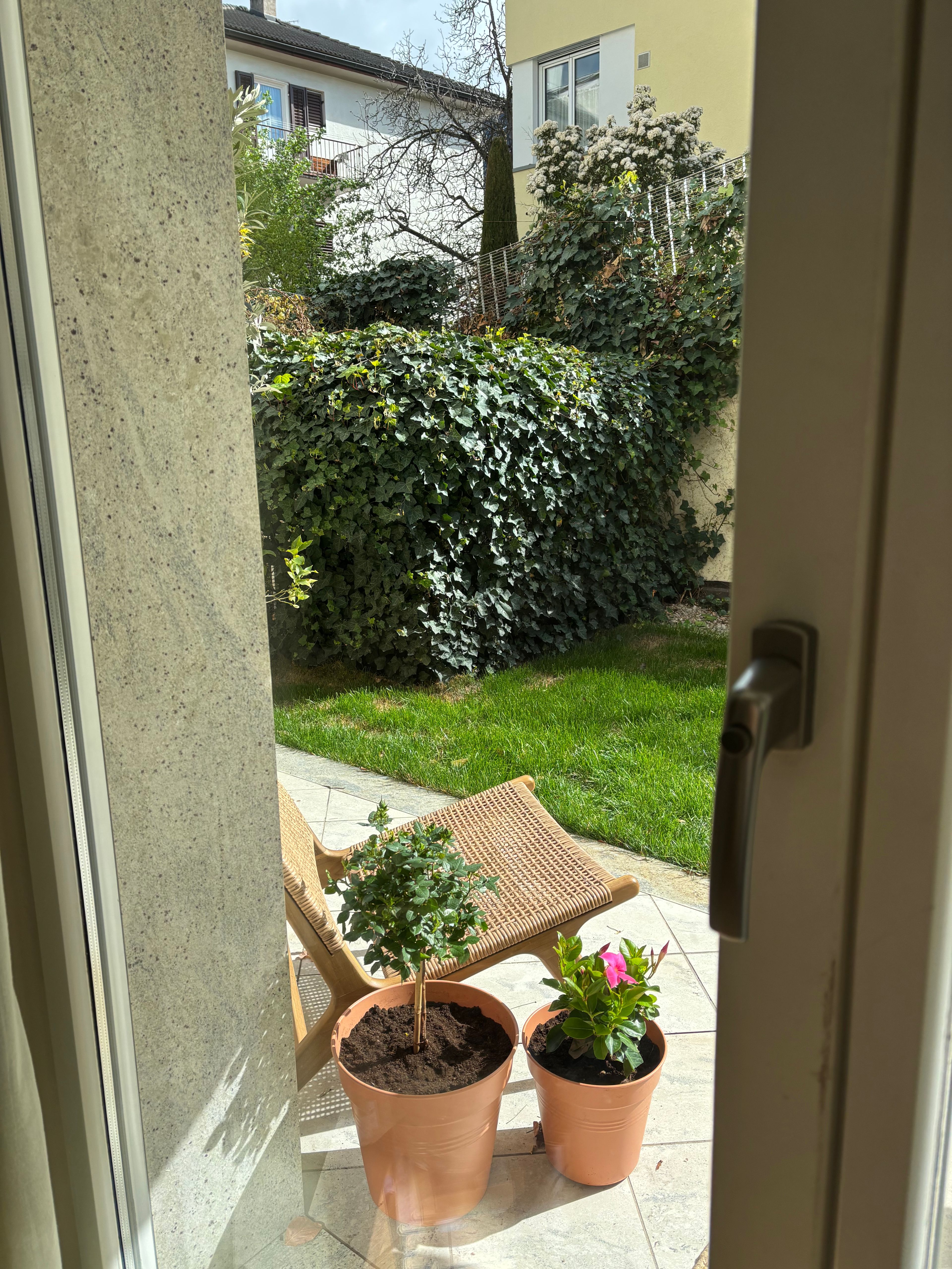 image-14
