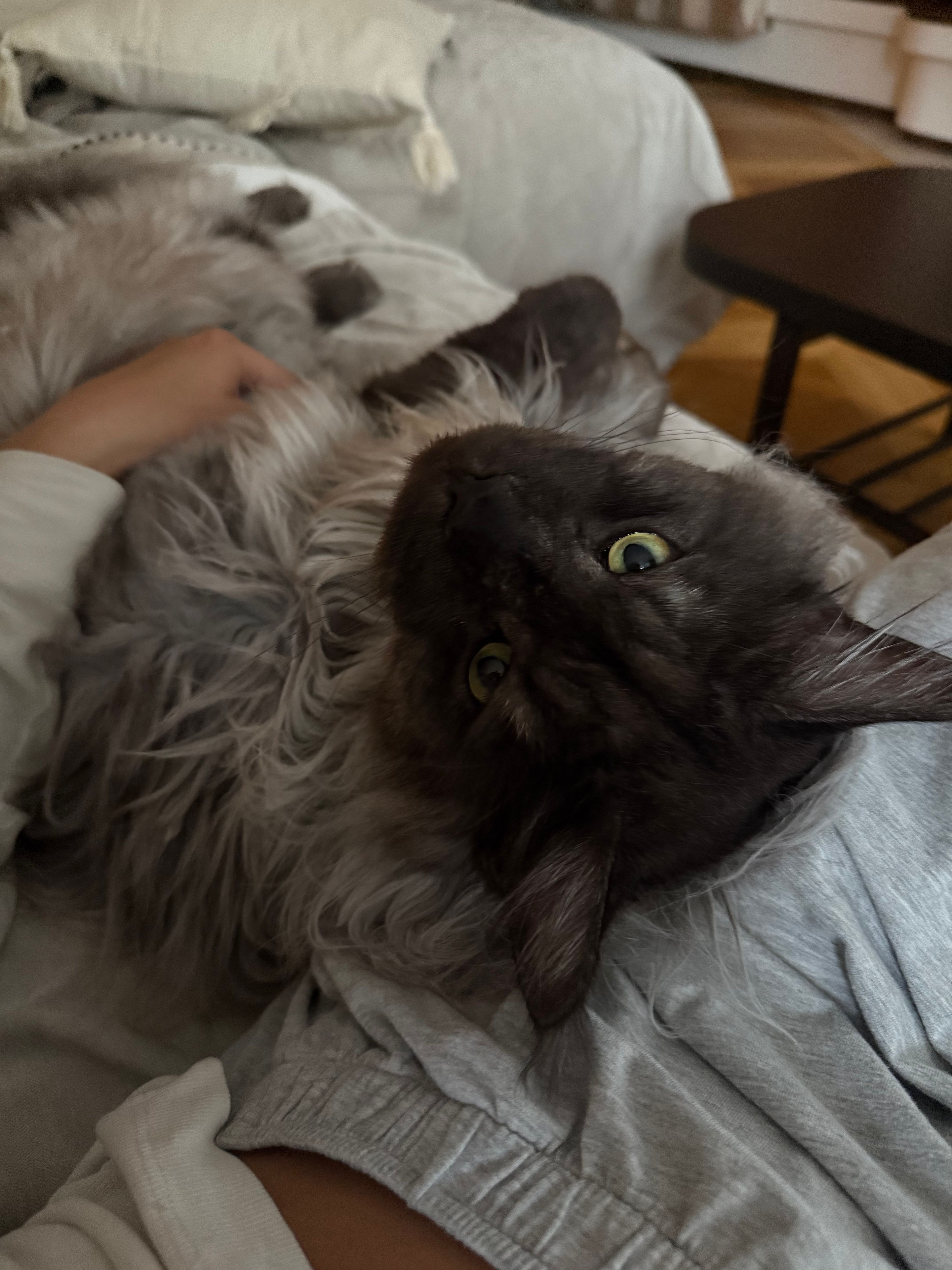 image-16