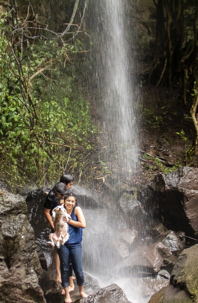 image-3