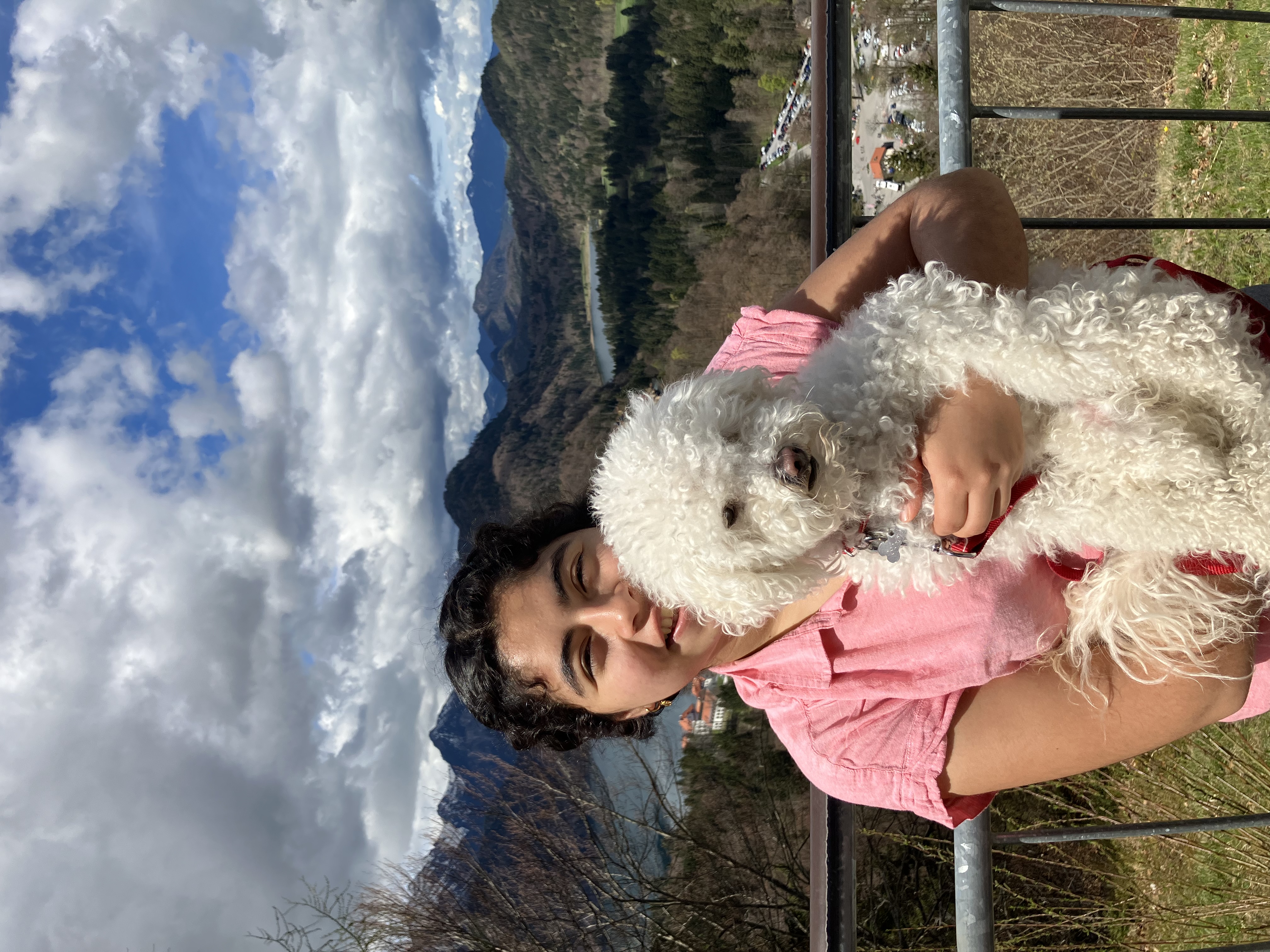 image-5