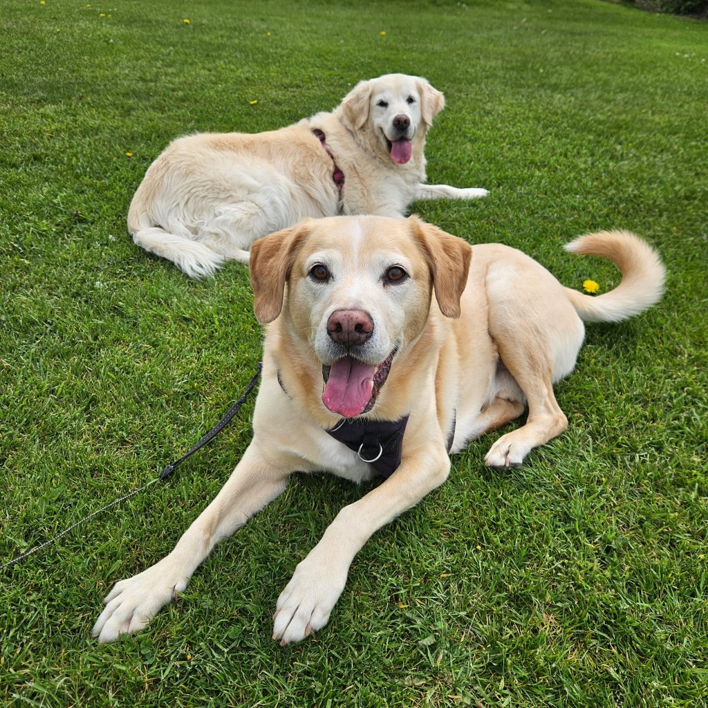 Jake & Belle