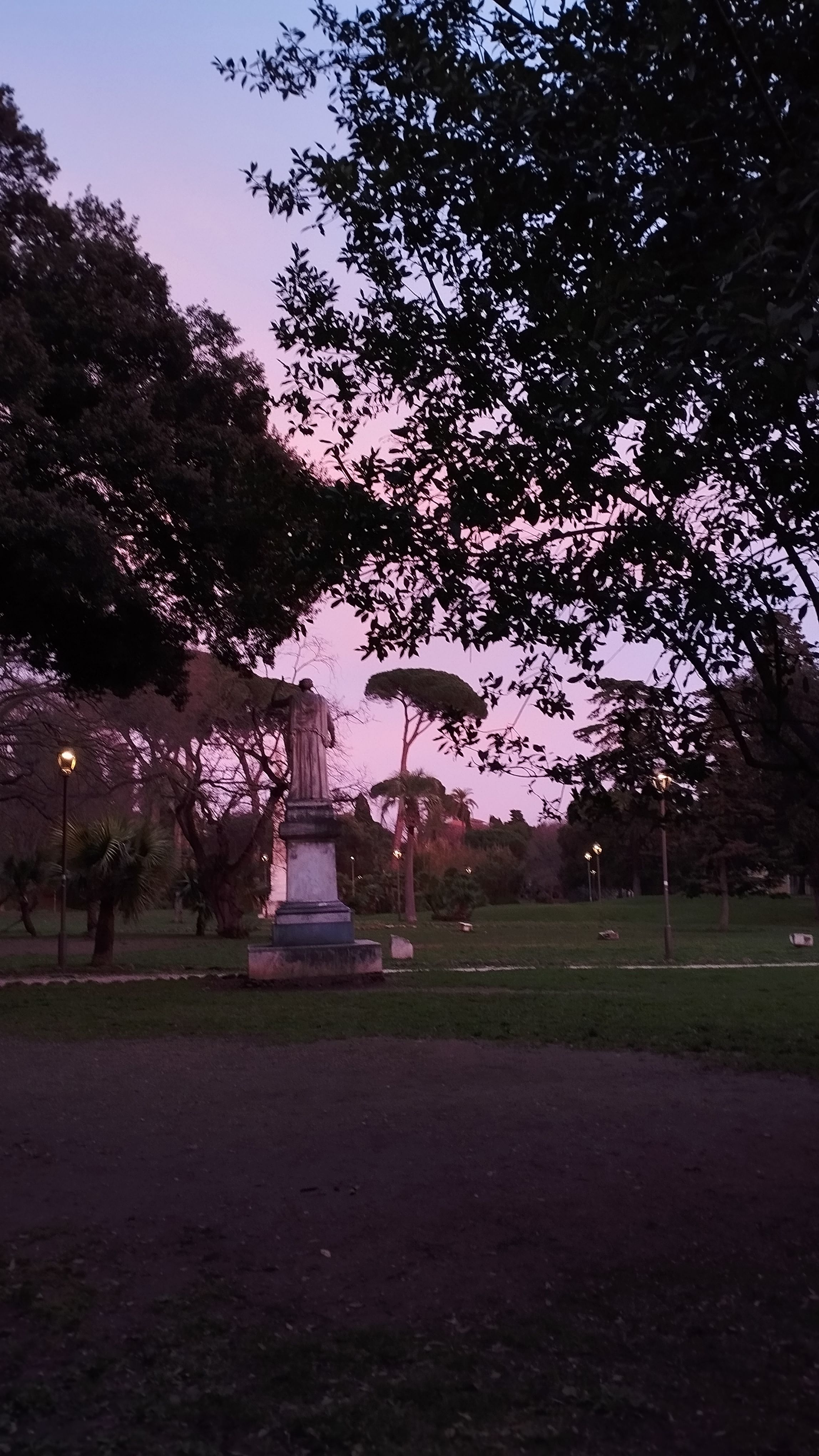 image-15
