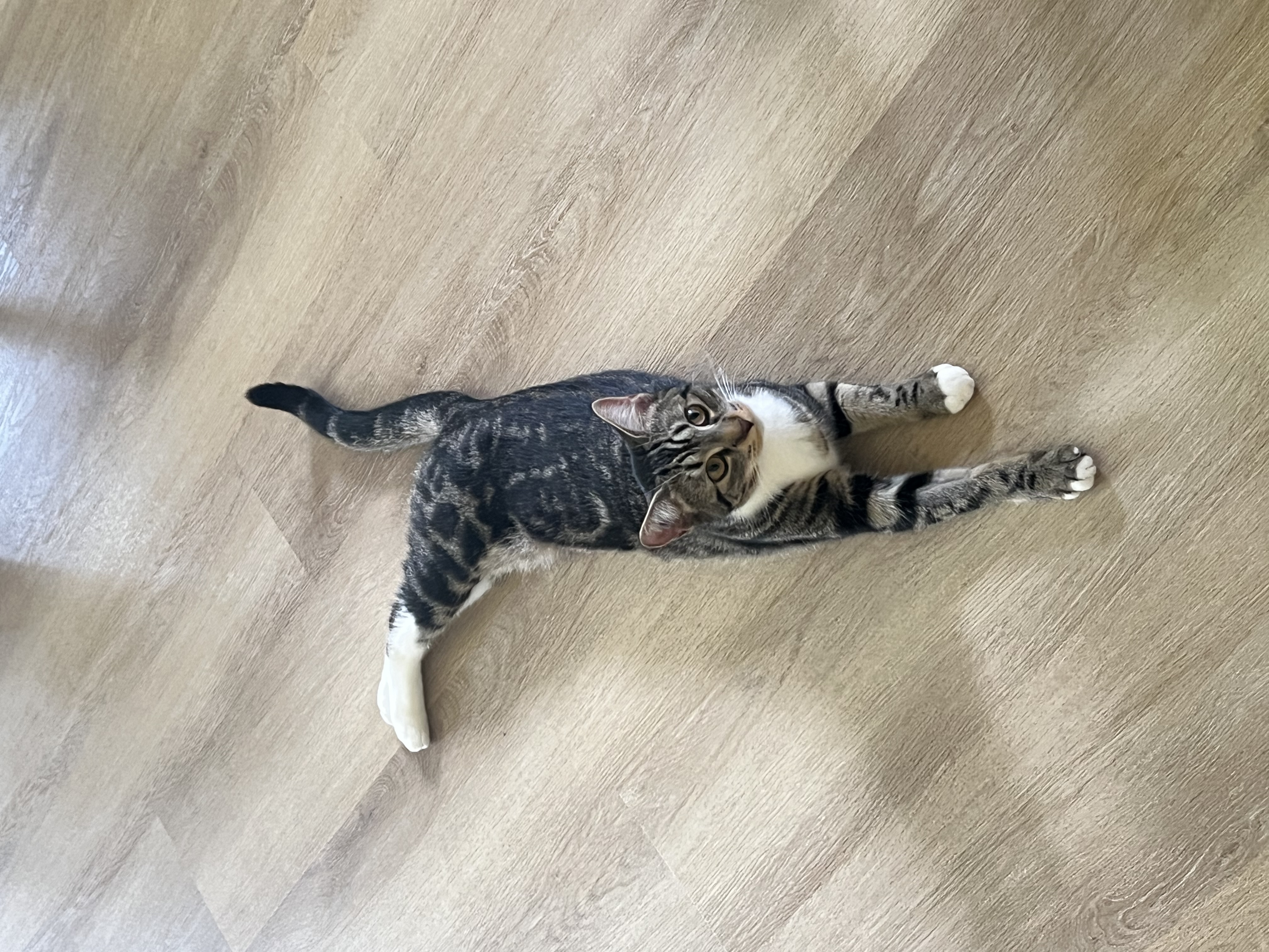 image-9