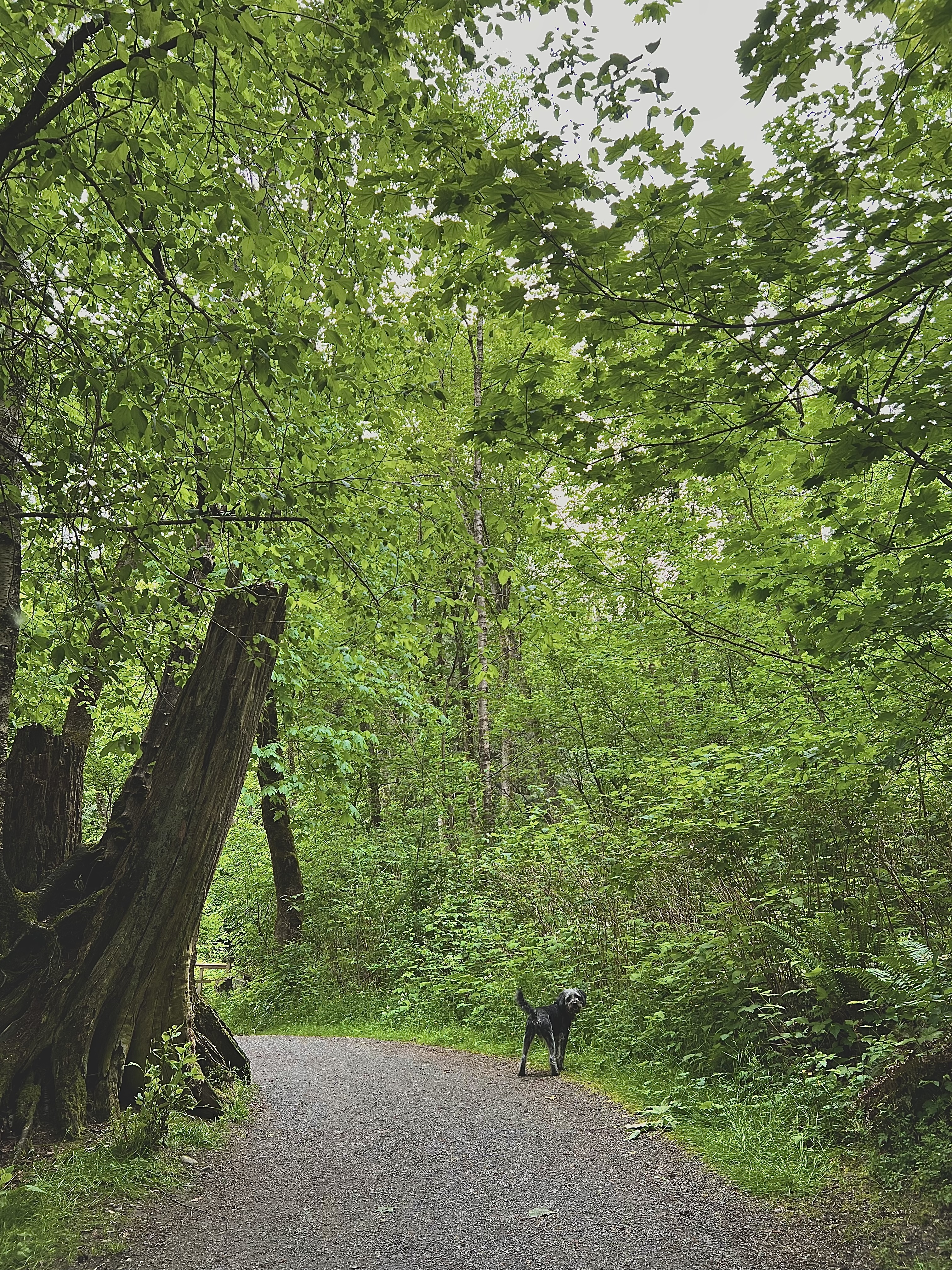 image-8