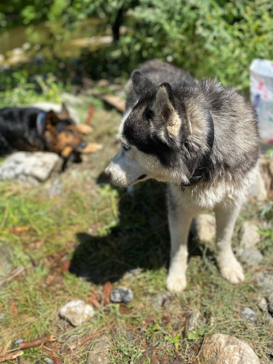 image-6