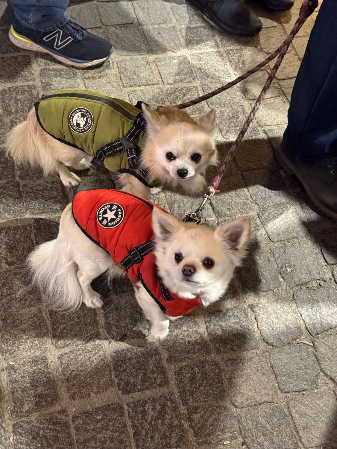 image-8