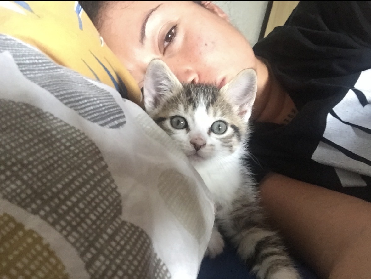 image-6