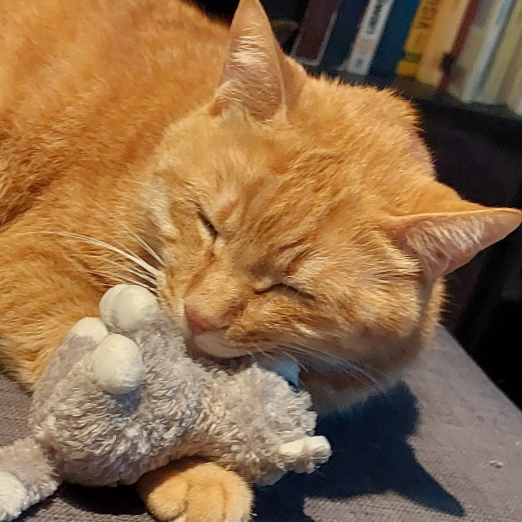 Chicco