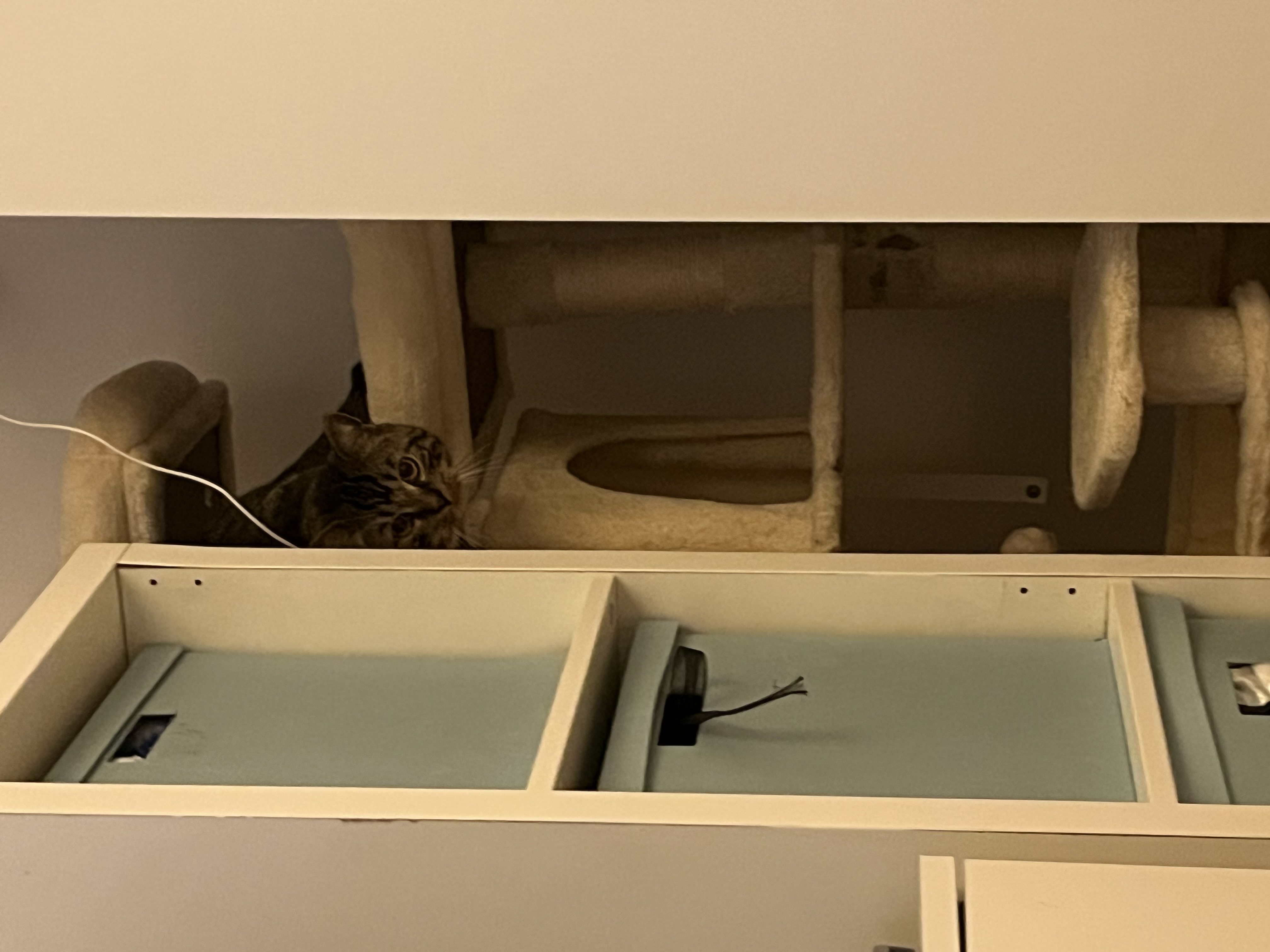 image-10