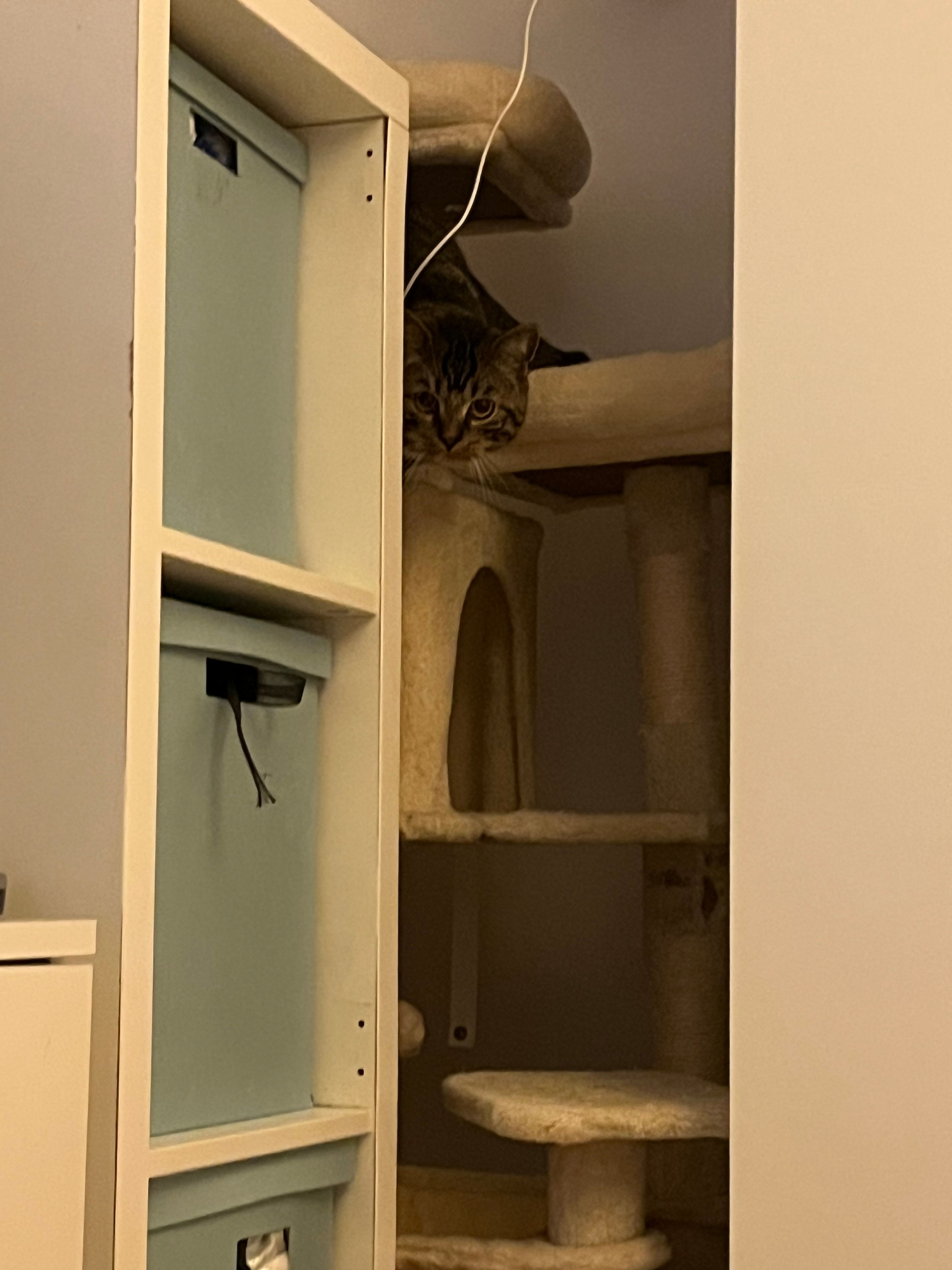 image-10