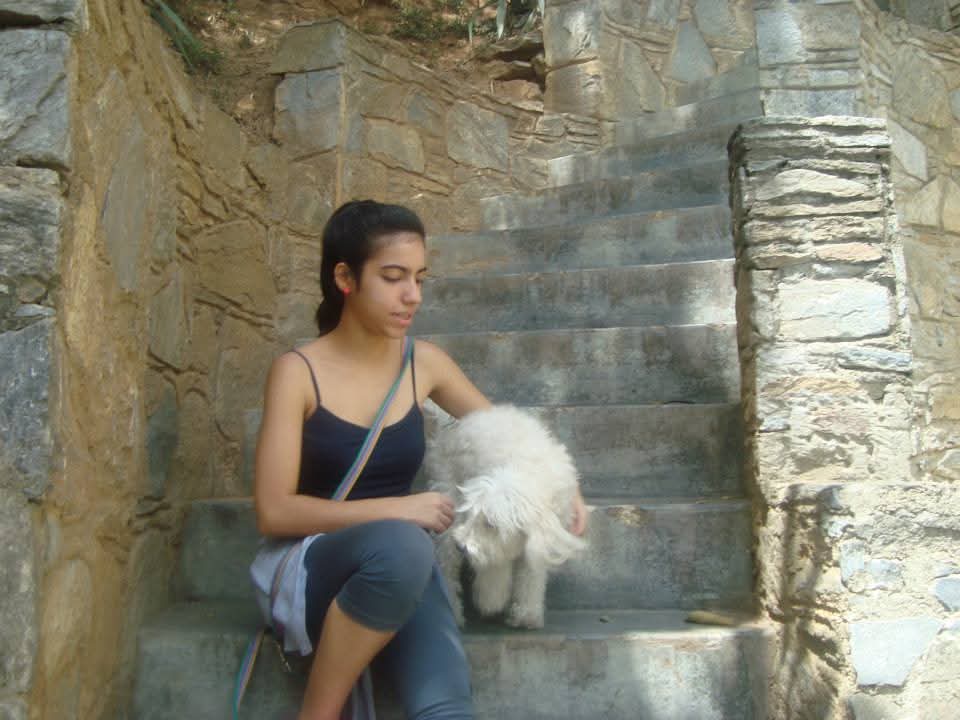 image-2