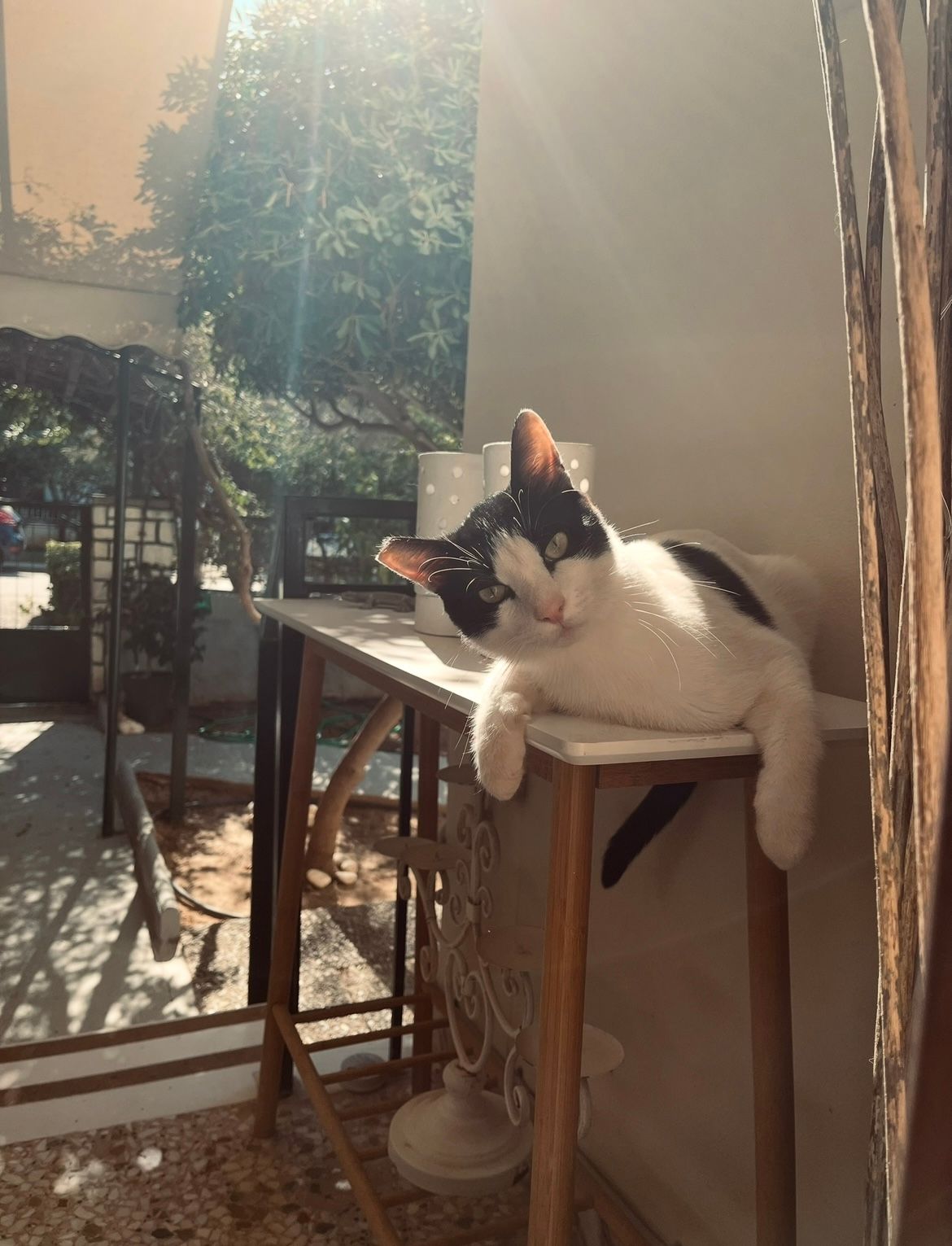 image-6