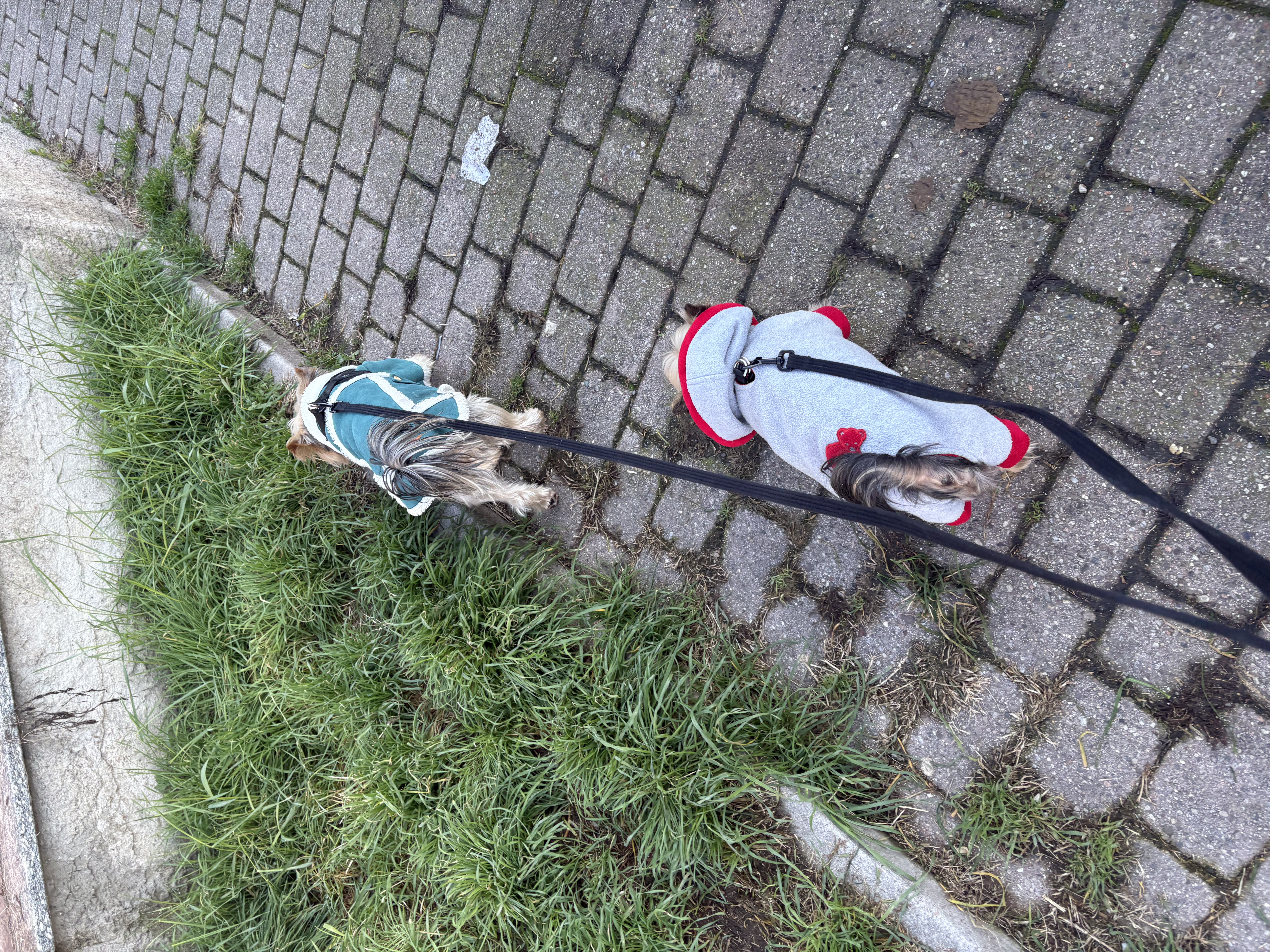 image-7
