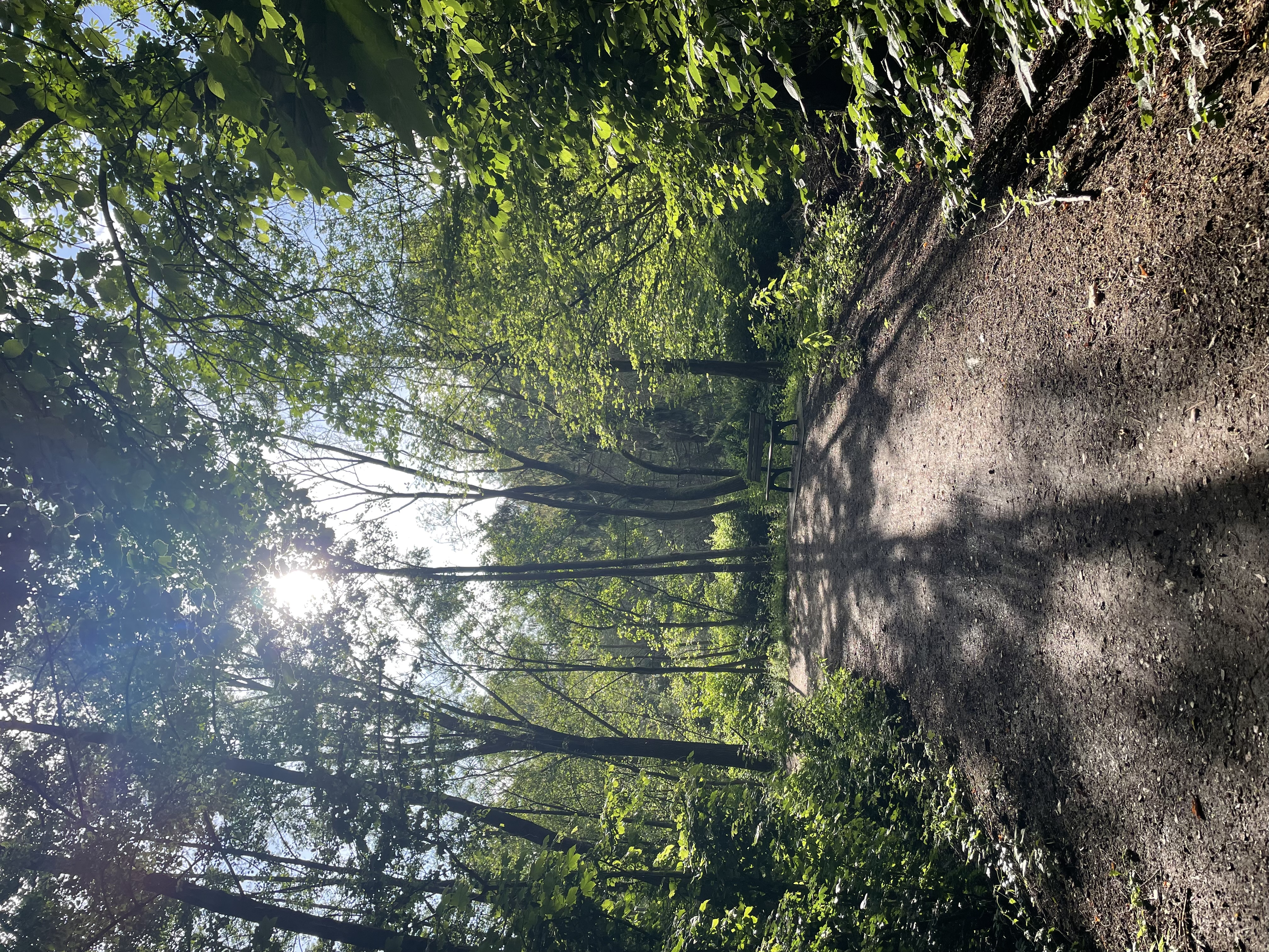 image-14