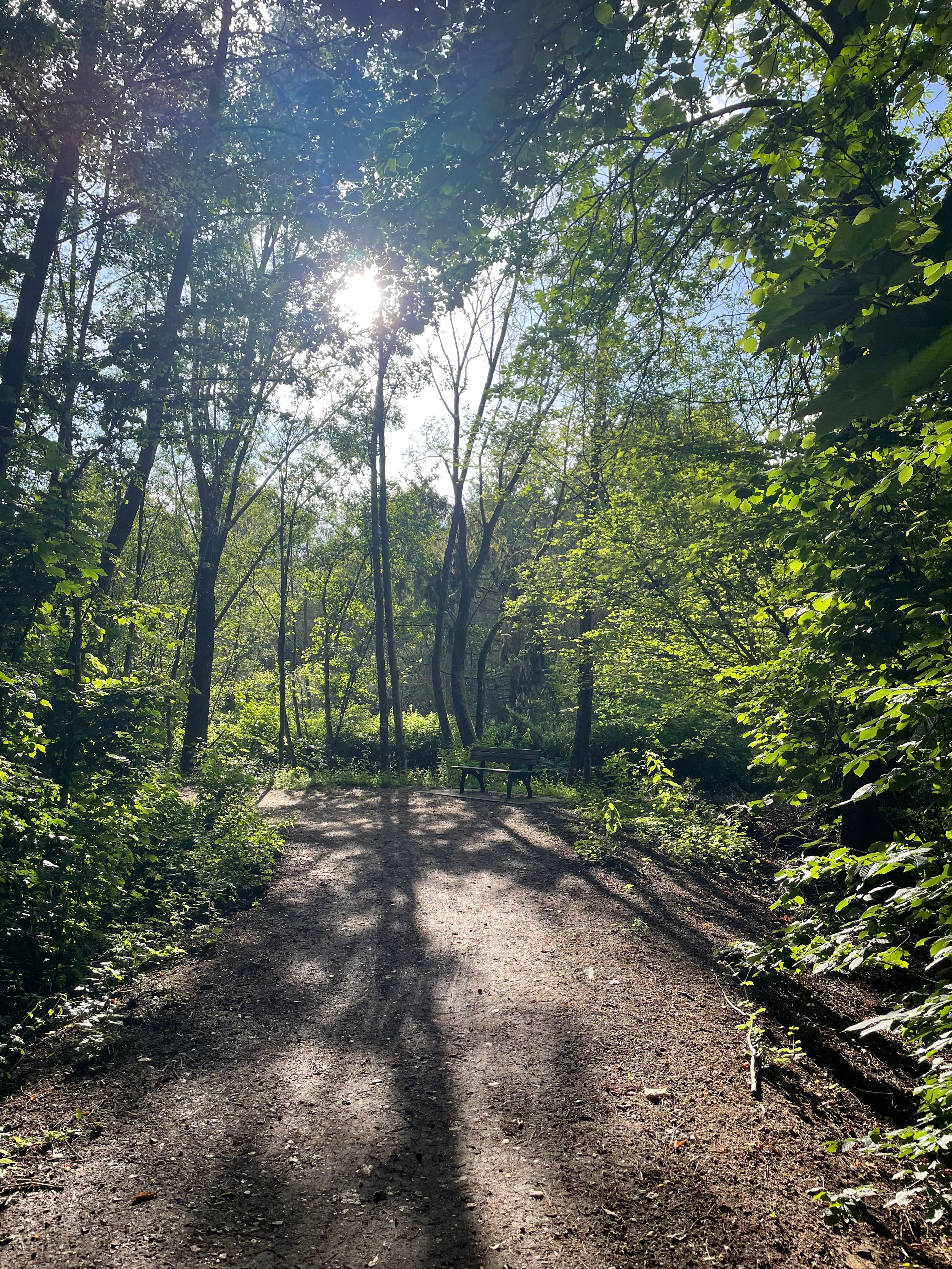 image-14