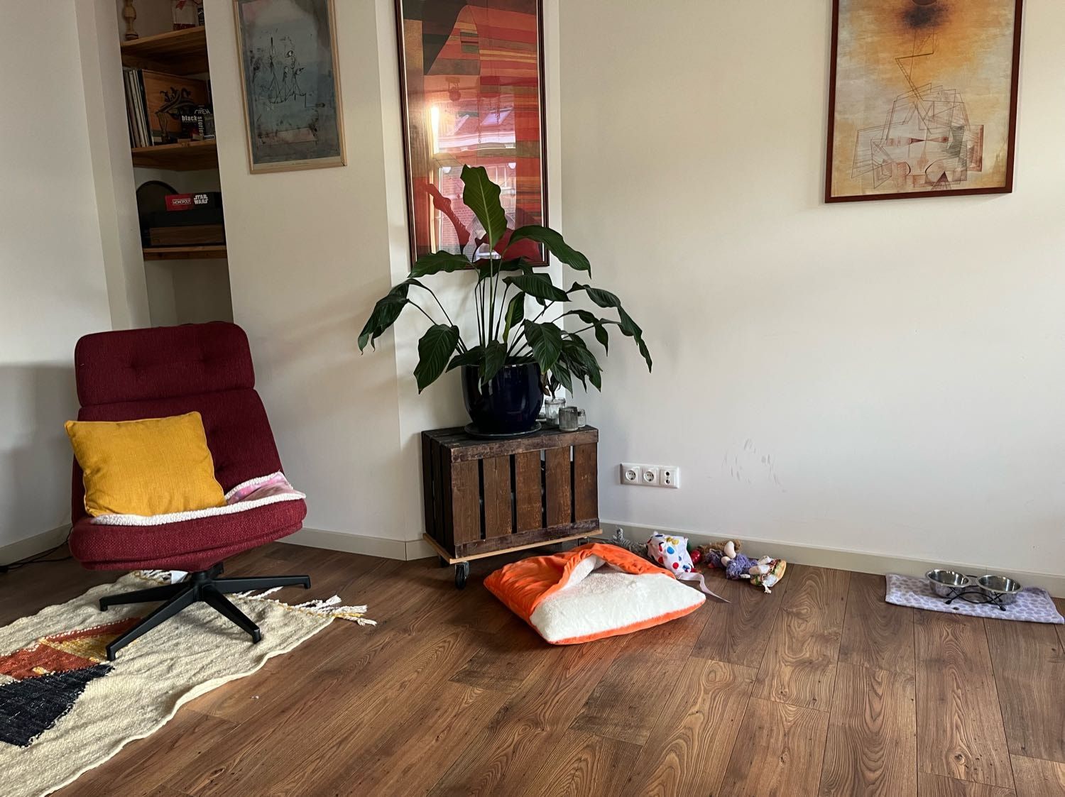 image-12