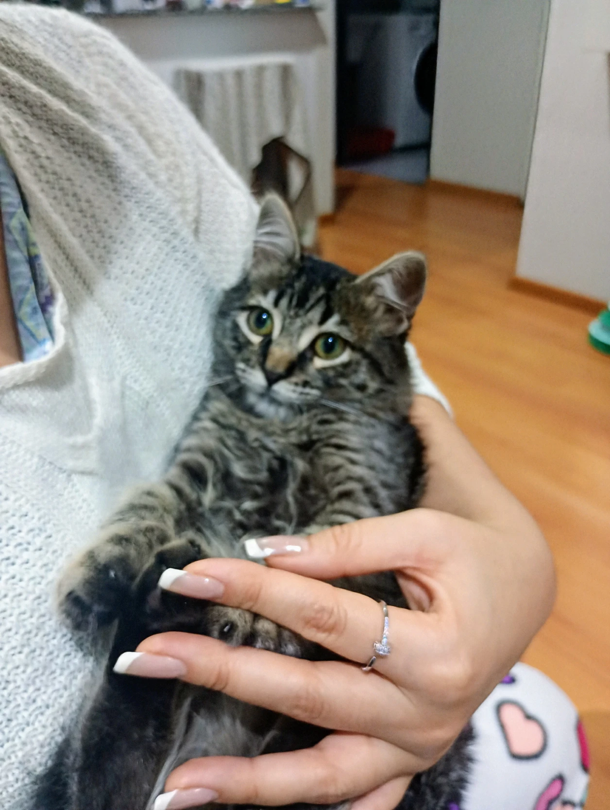 image-7