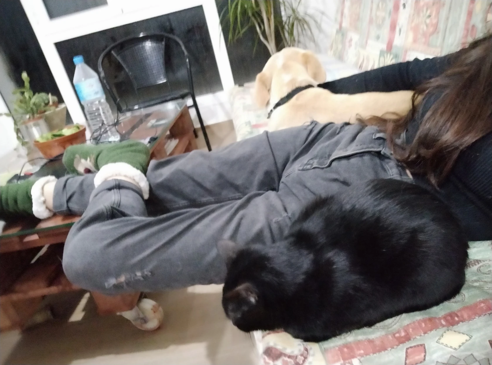 image-8