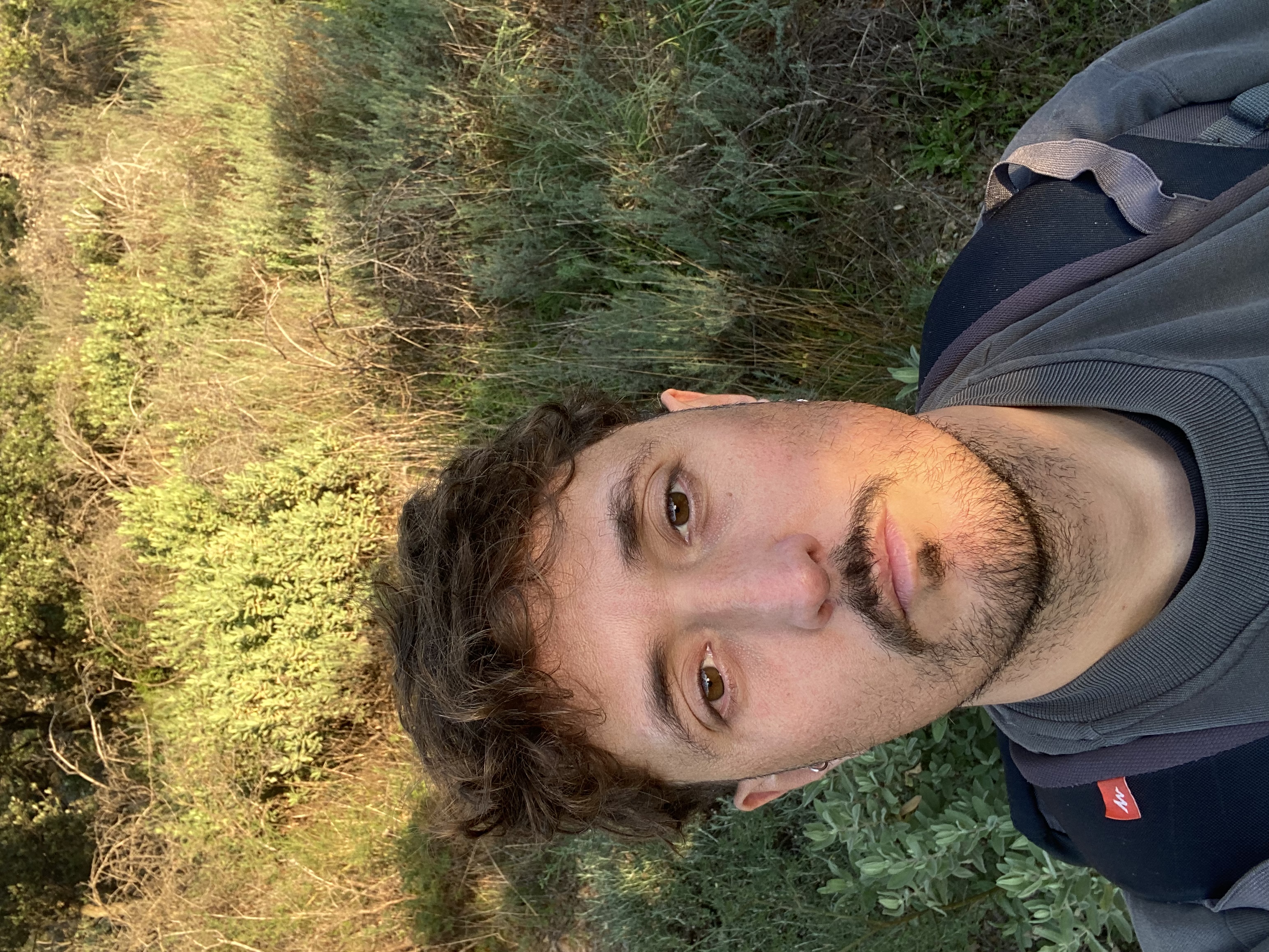image-6