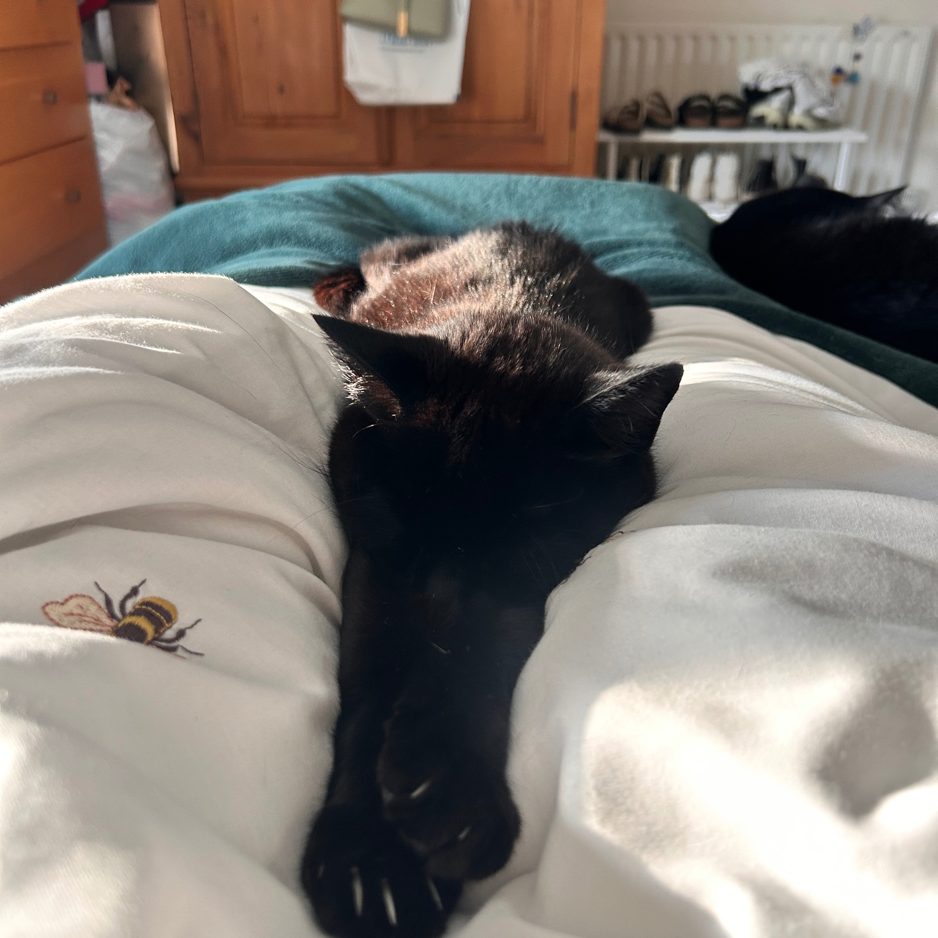 Tilly 