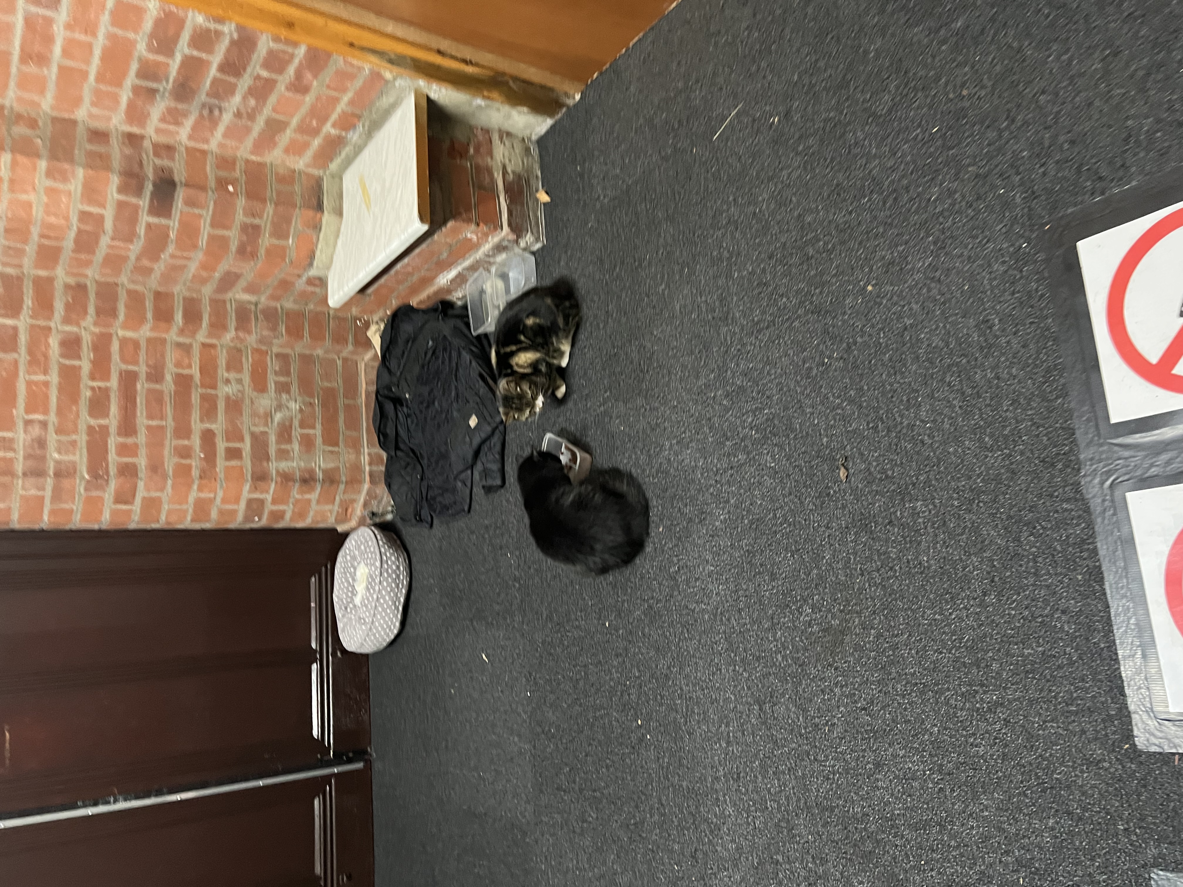 image-3