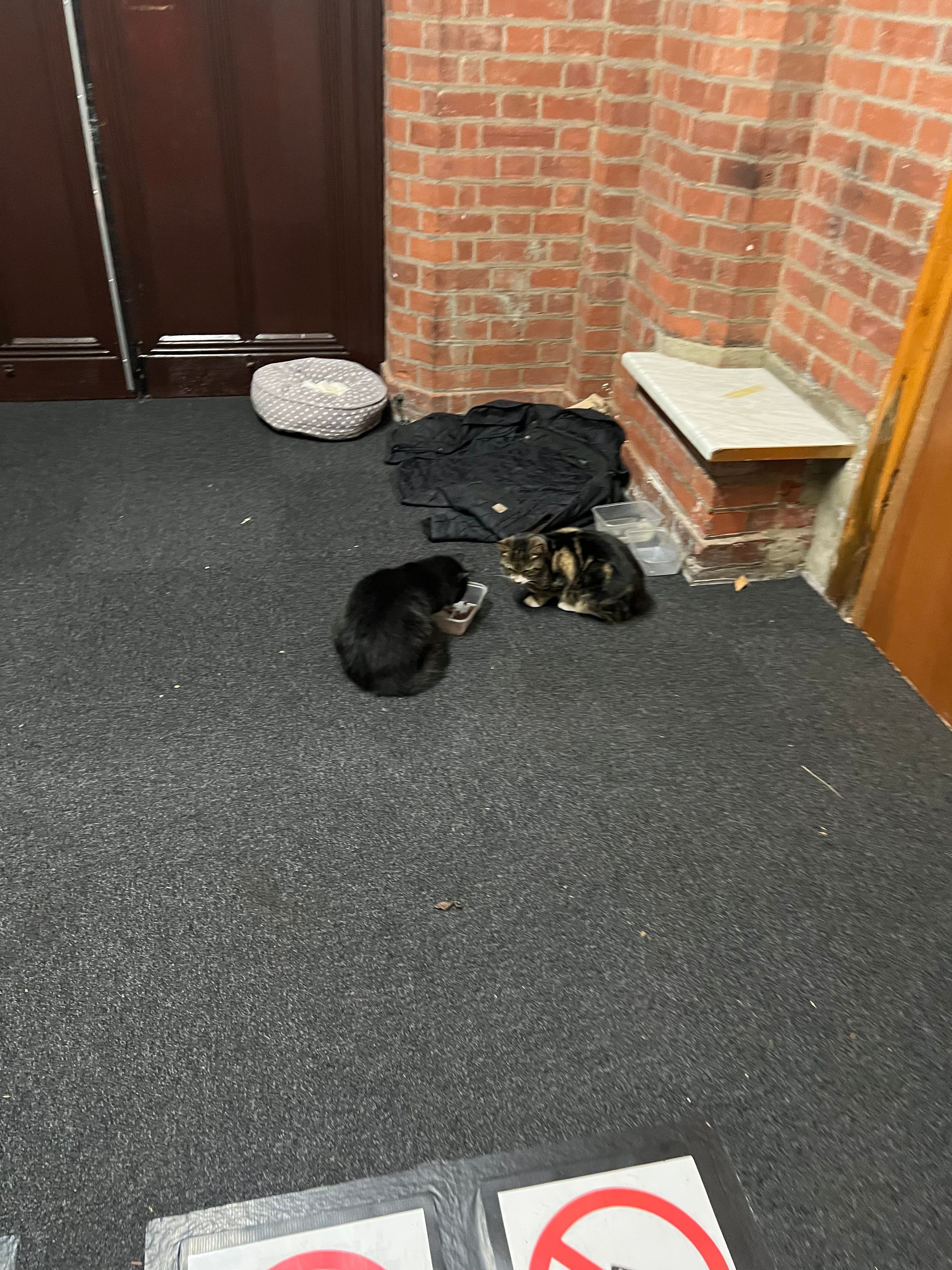 image-3