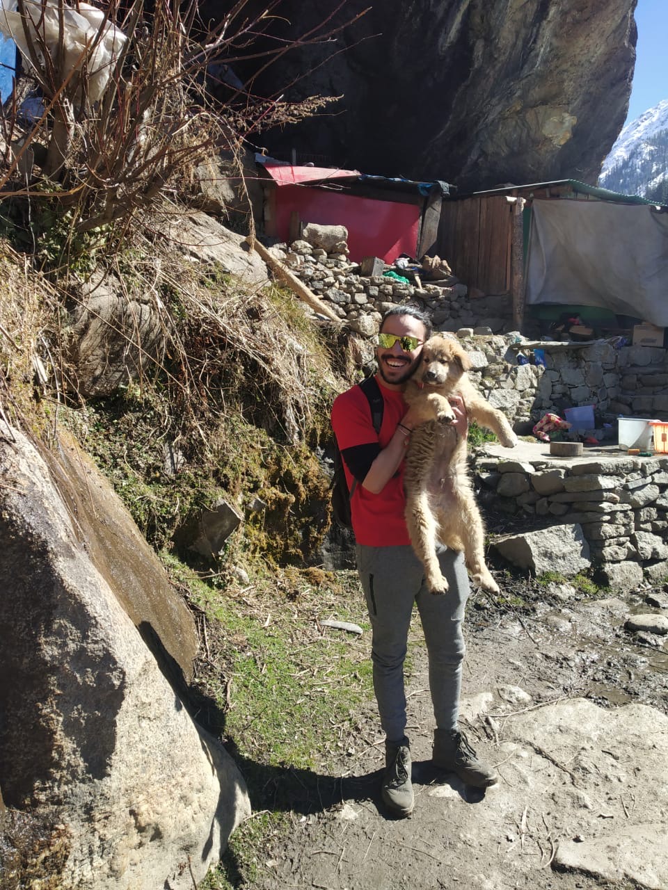 image-7