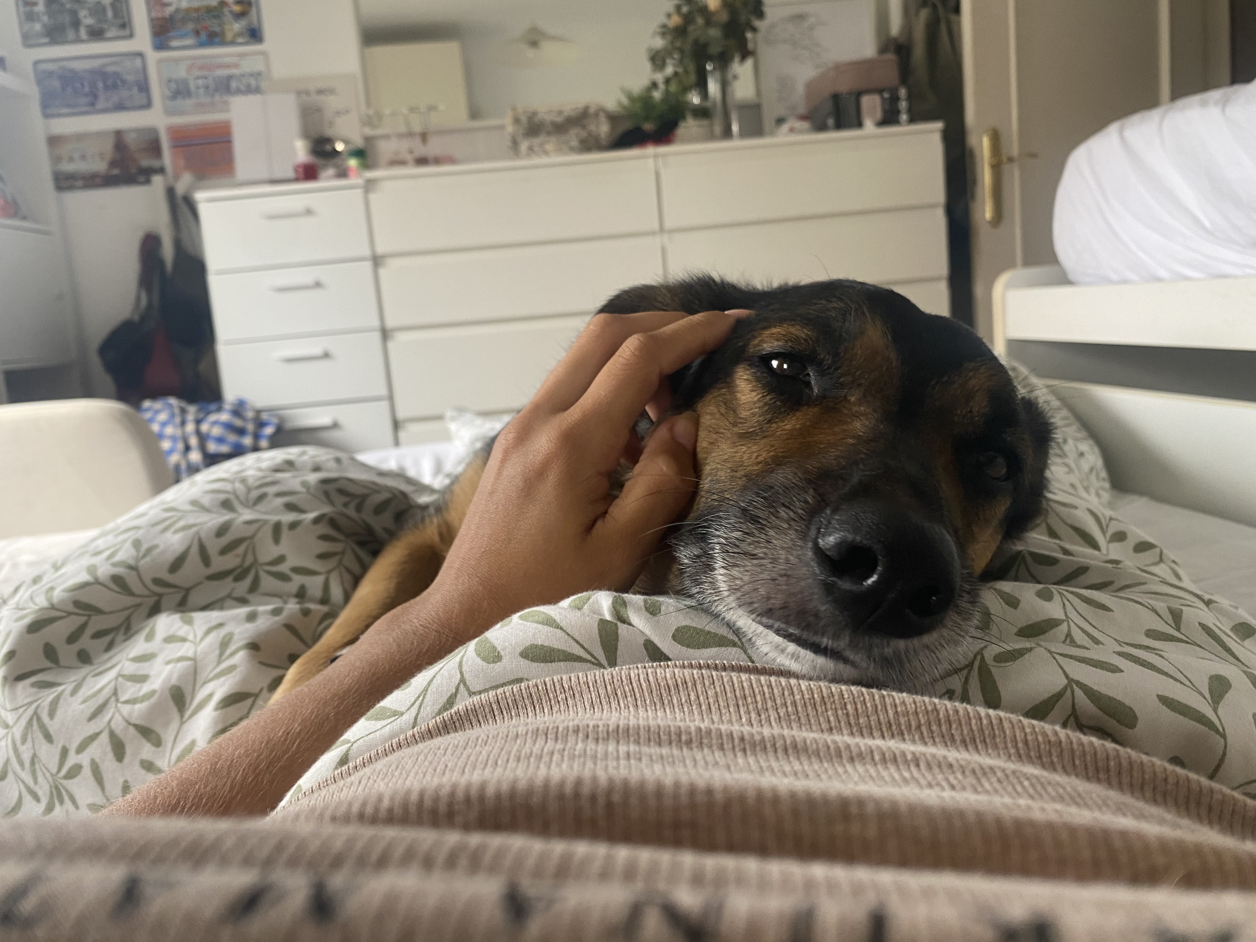 image-8